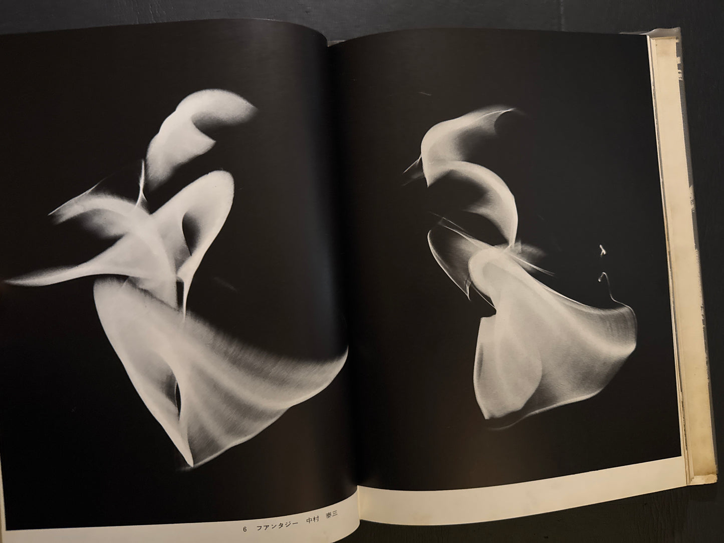 Selected Works of NANIWA SHASHIN CLUB 60th anniversary 1966