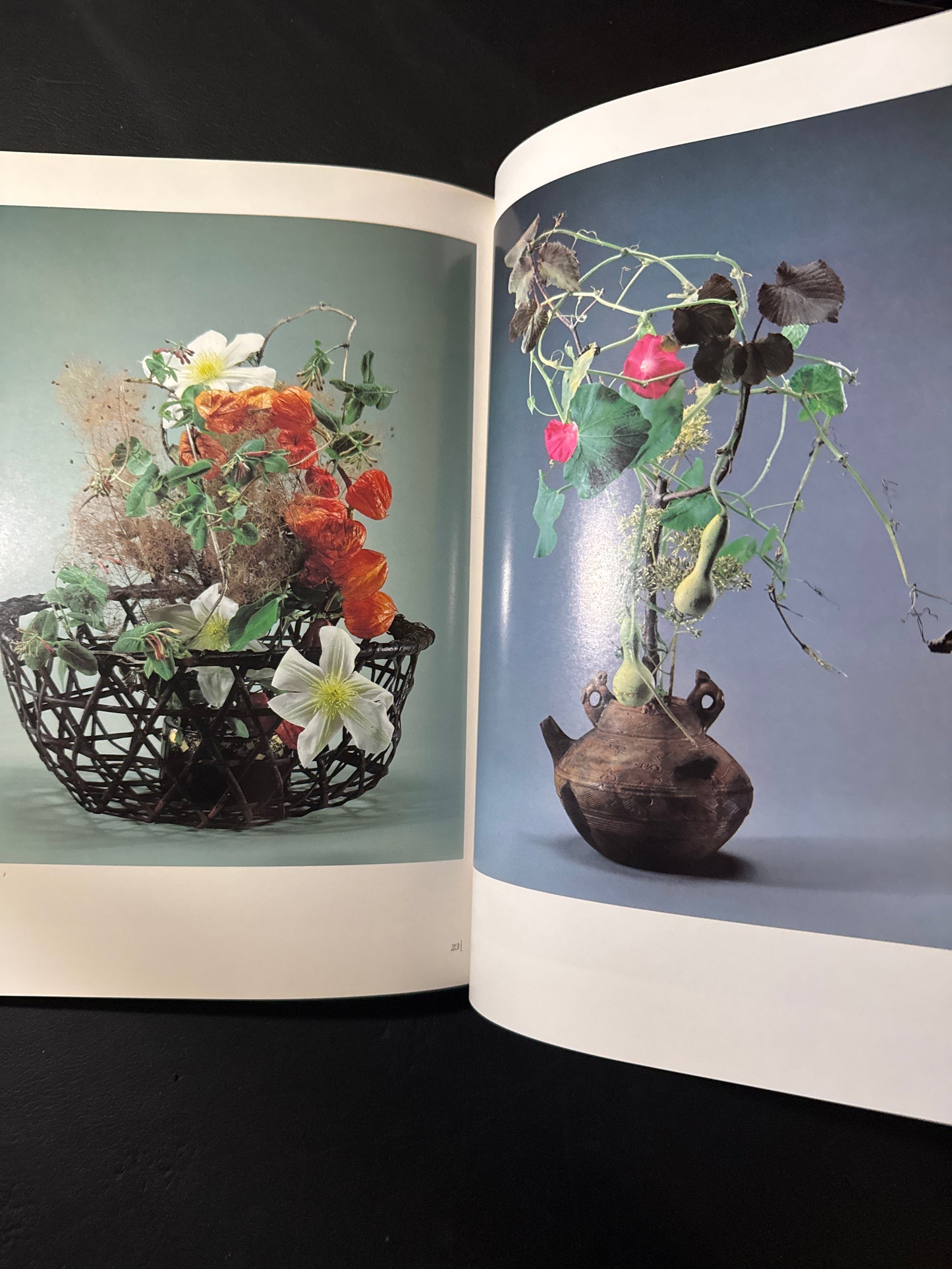 Sofu Teshigawara Ikebana 5 vol. complete set