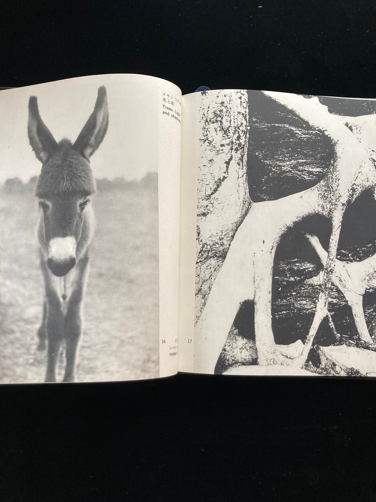 photography of the world '66