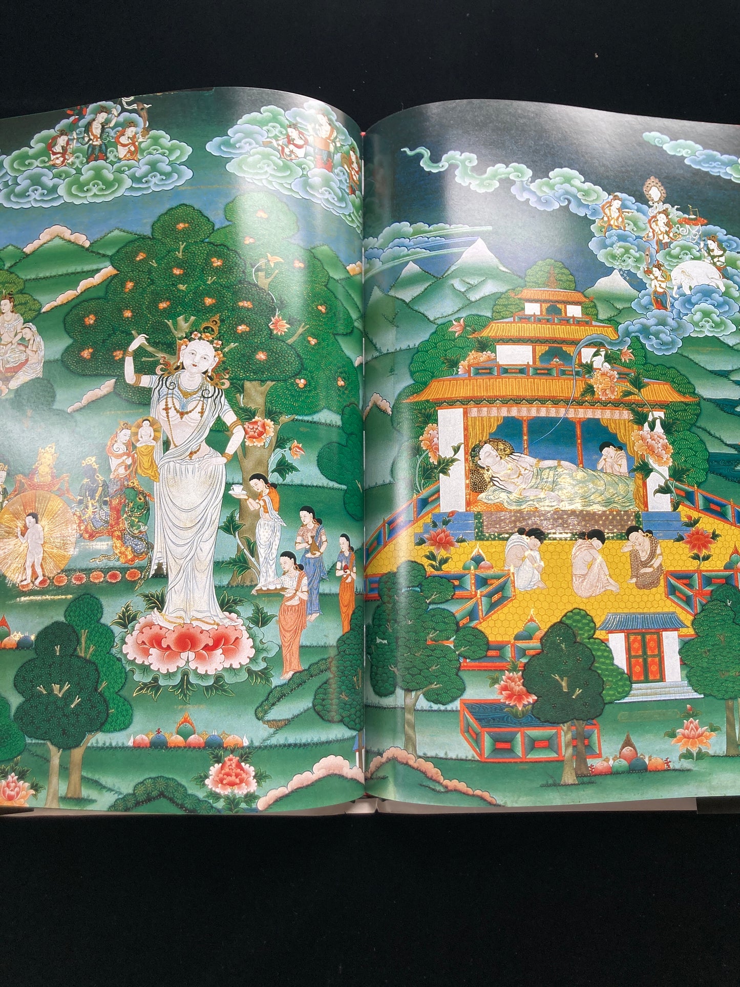 Masaji Hanazawa Photo Collection
“Shashin Shimadana”