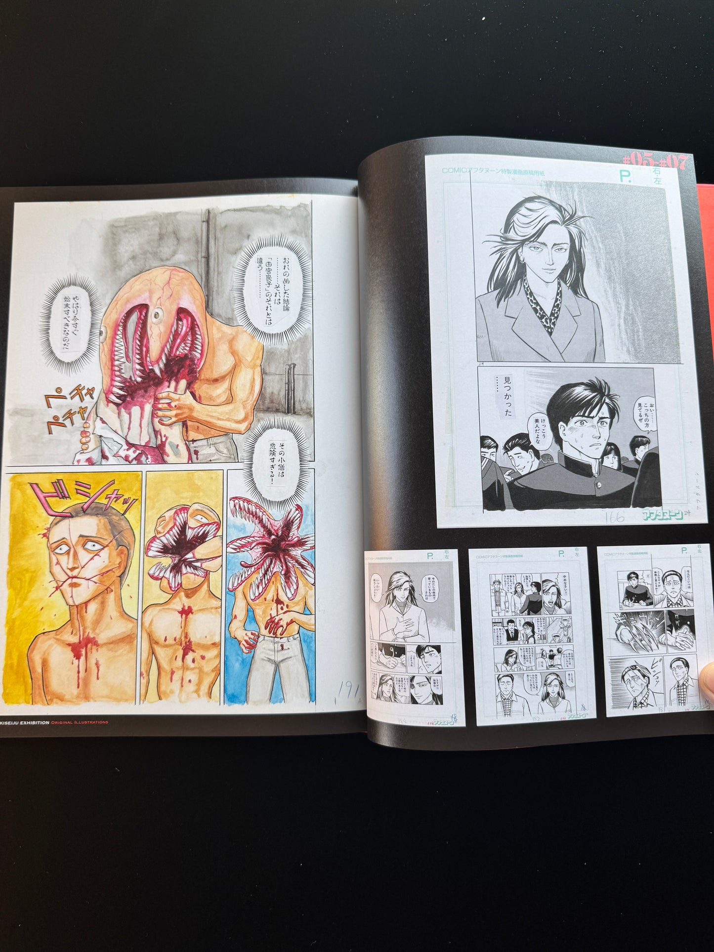 KISEIJU EXHIBITION ORIGINAL ILLUSTRATION