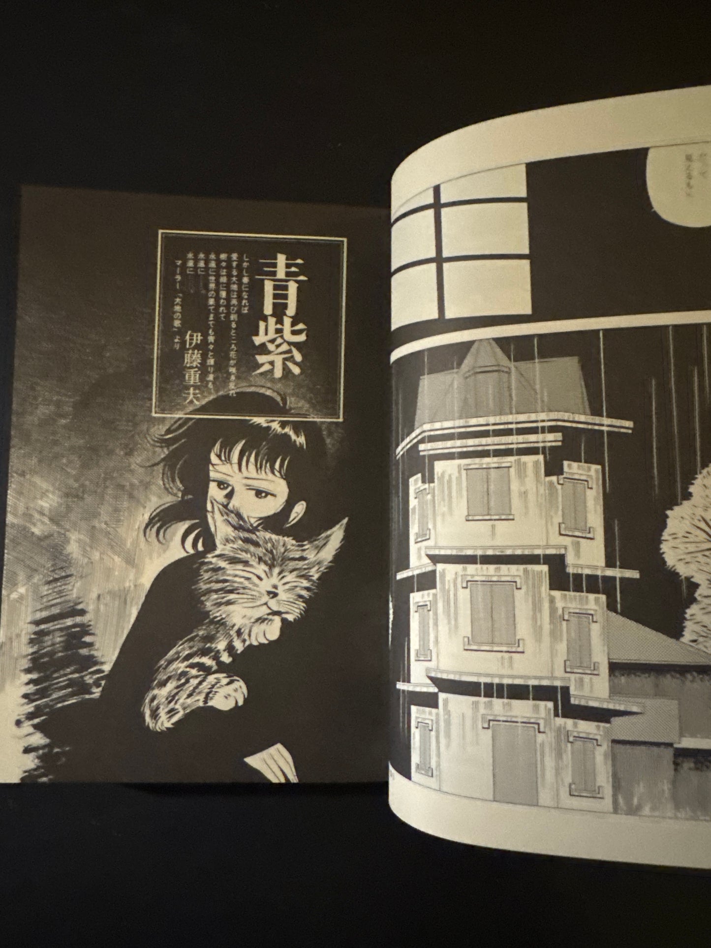 Thoughts on the Chocolate Sphinx