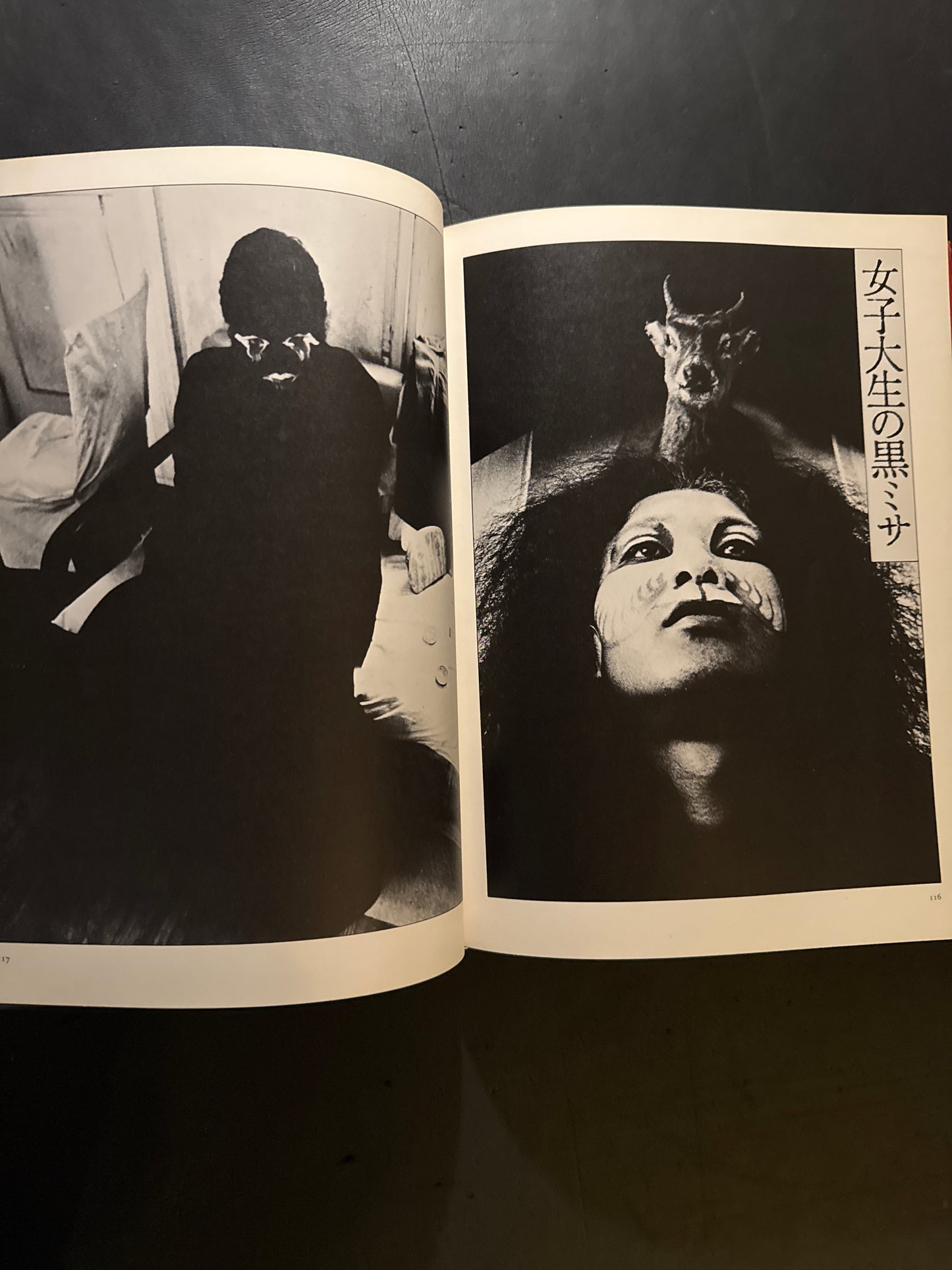 photo theque imaginaire de Shuji Terayama Les gems de la famille Chien Dieu