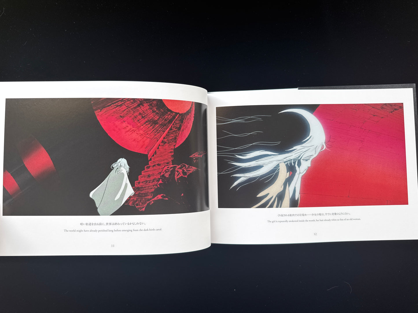 Angel's Egg THE VISUAL COLLECTION