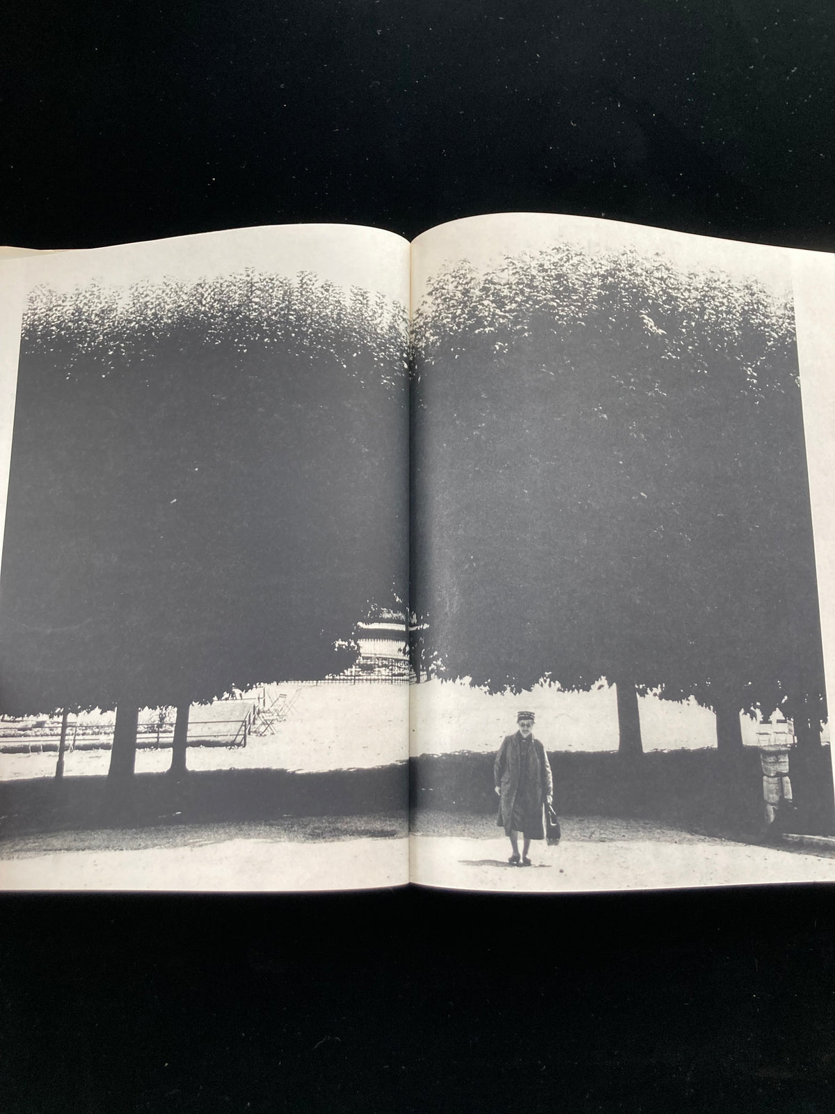 photography of the world '65