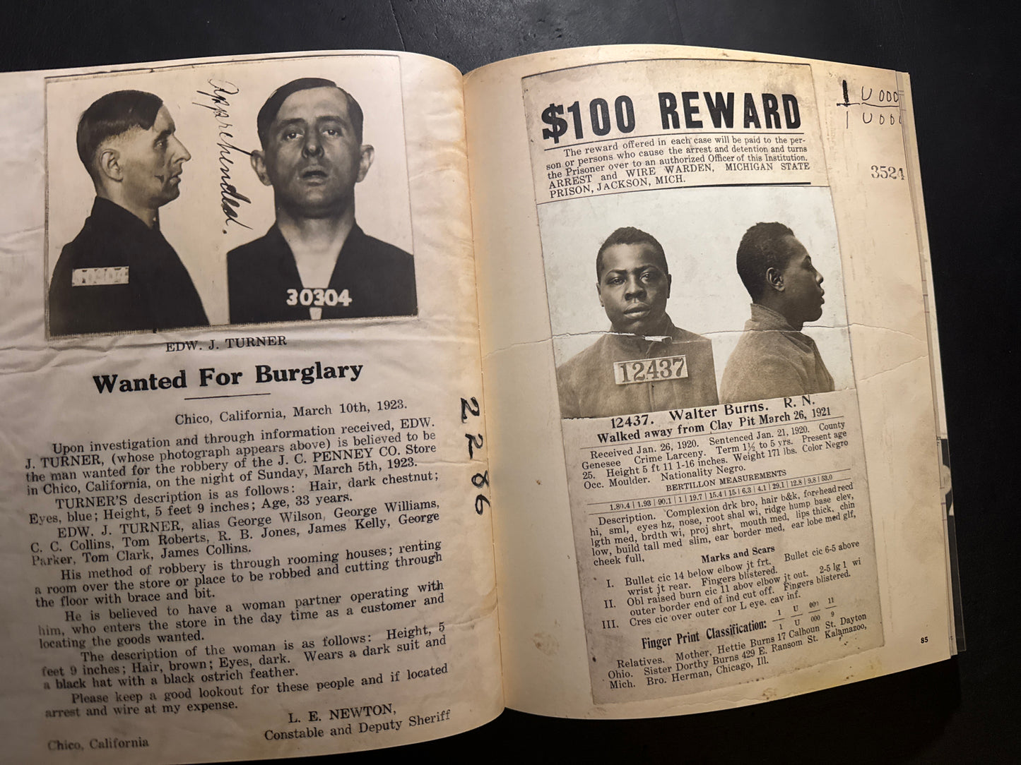 LEAST WANTED : A Century of American Mugshots