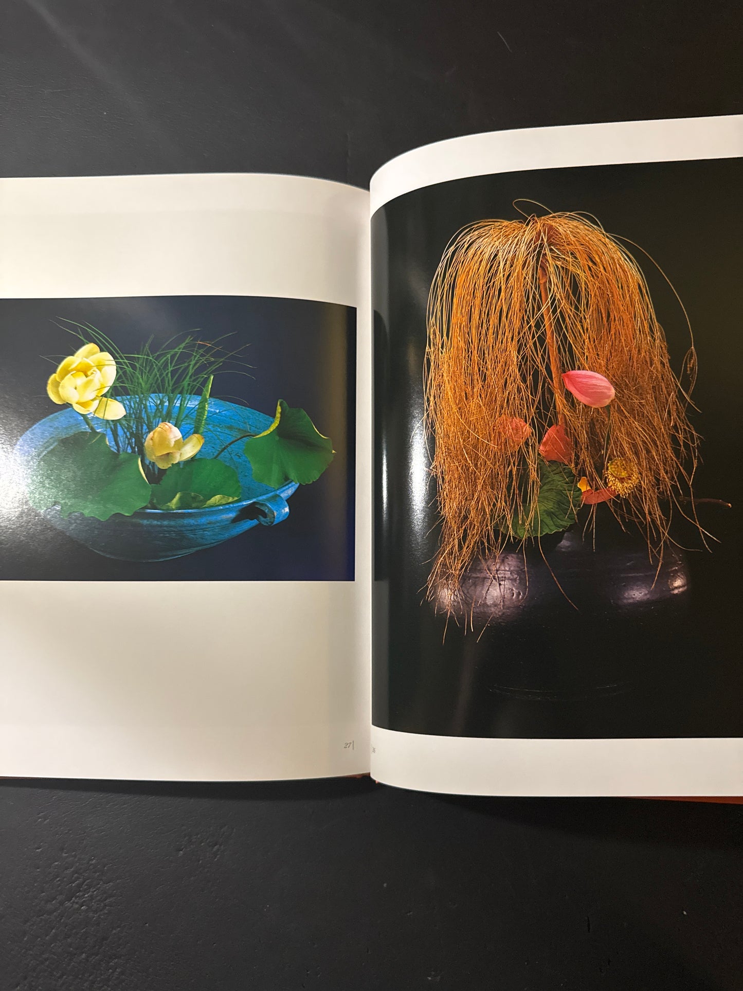 Sofu Teshigawara Ikebana 5 vol. complete set