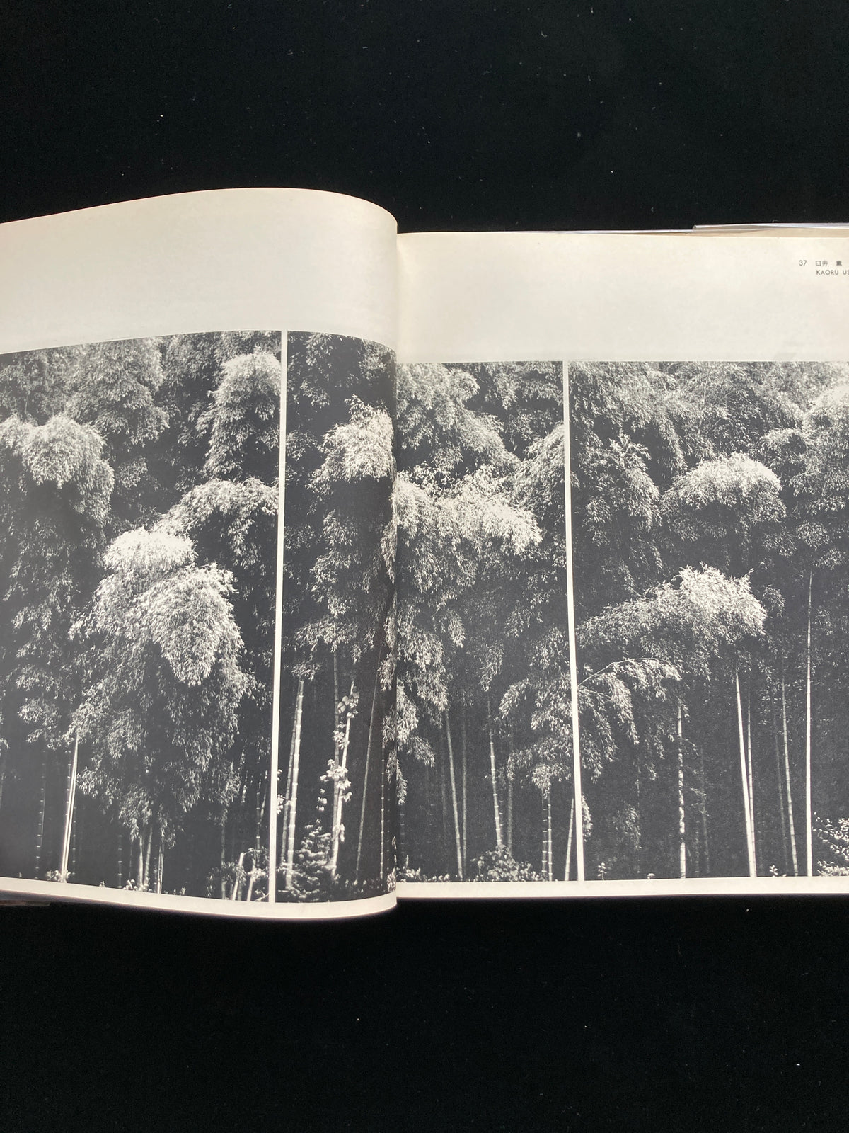 photography of the world '62
