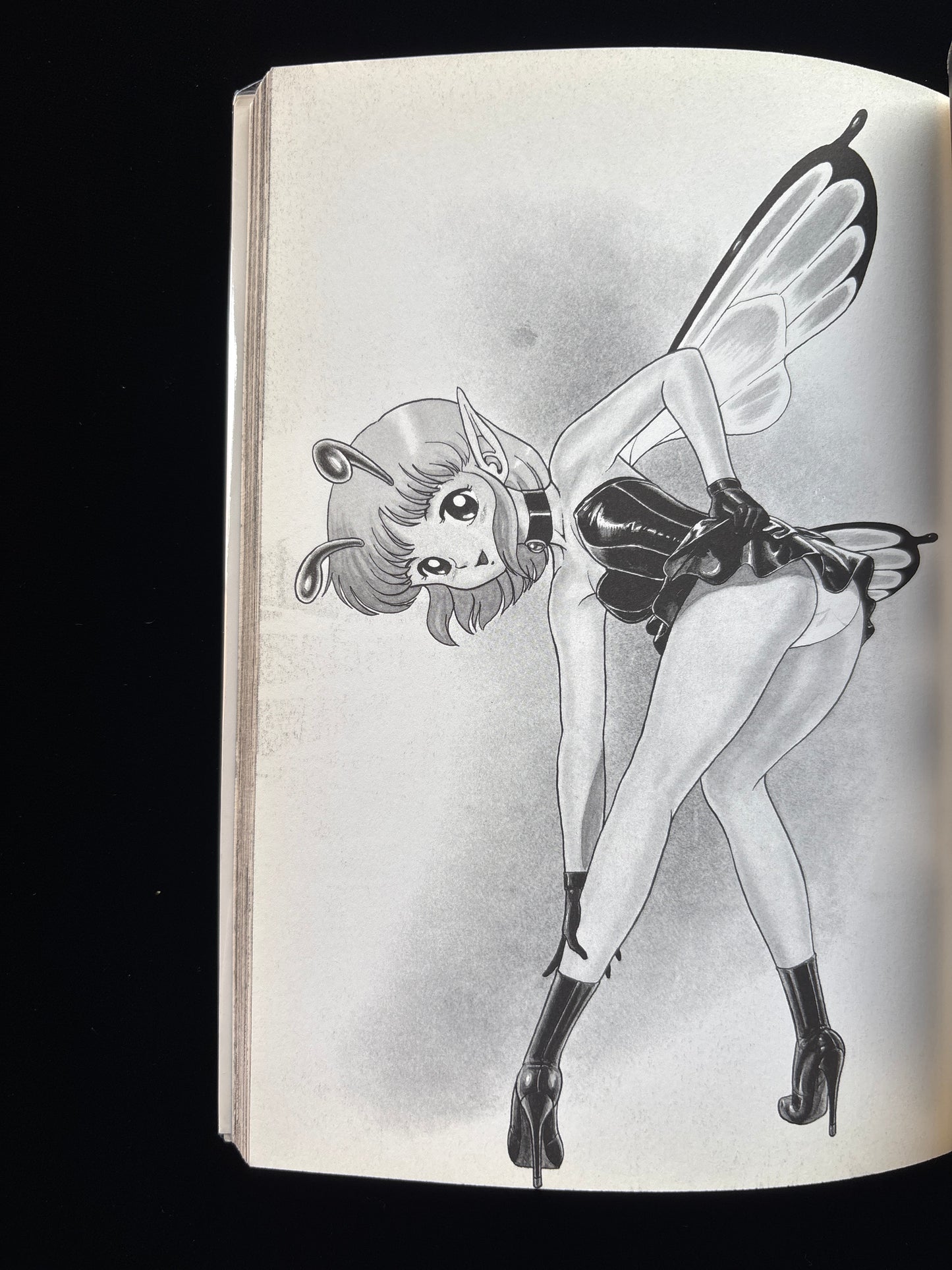 BONDAGE FAIRIES complete set