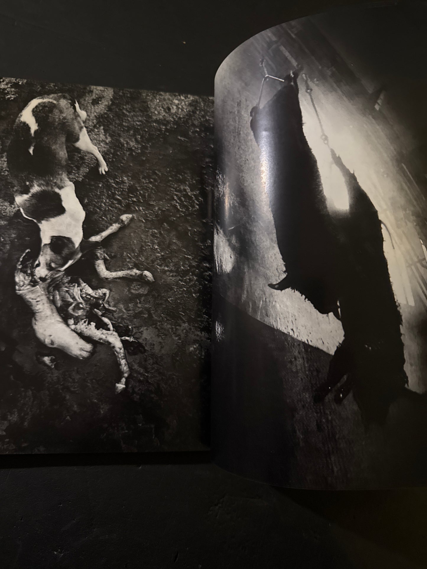 The Photo Image 10 issues complete set