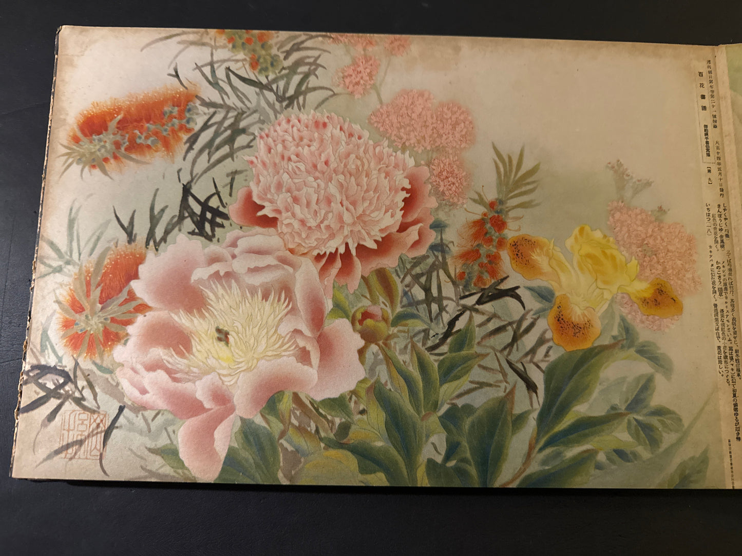 Hyakka: An Illustrated Collection of a Hundred Flowers