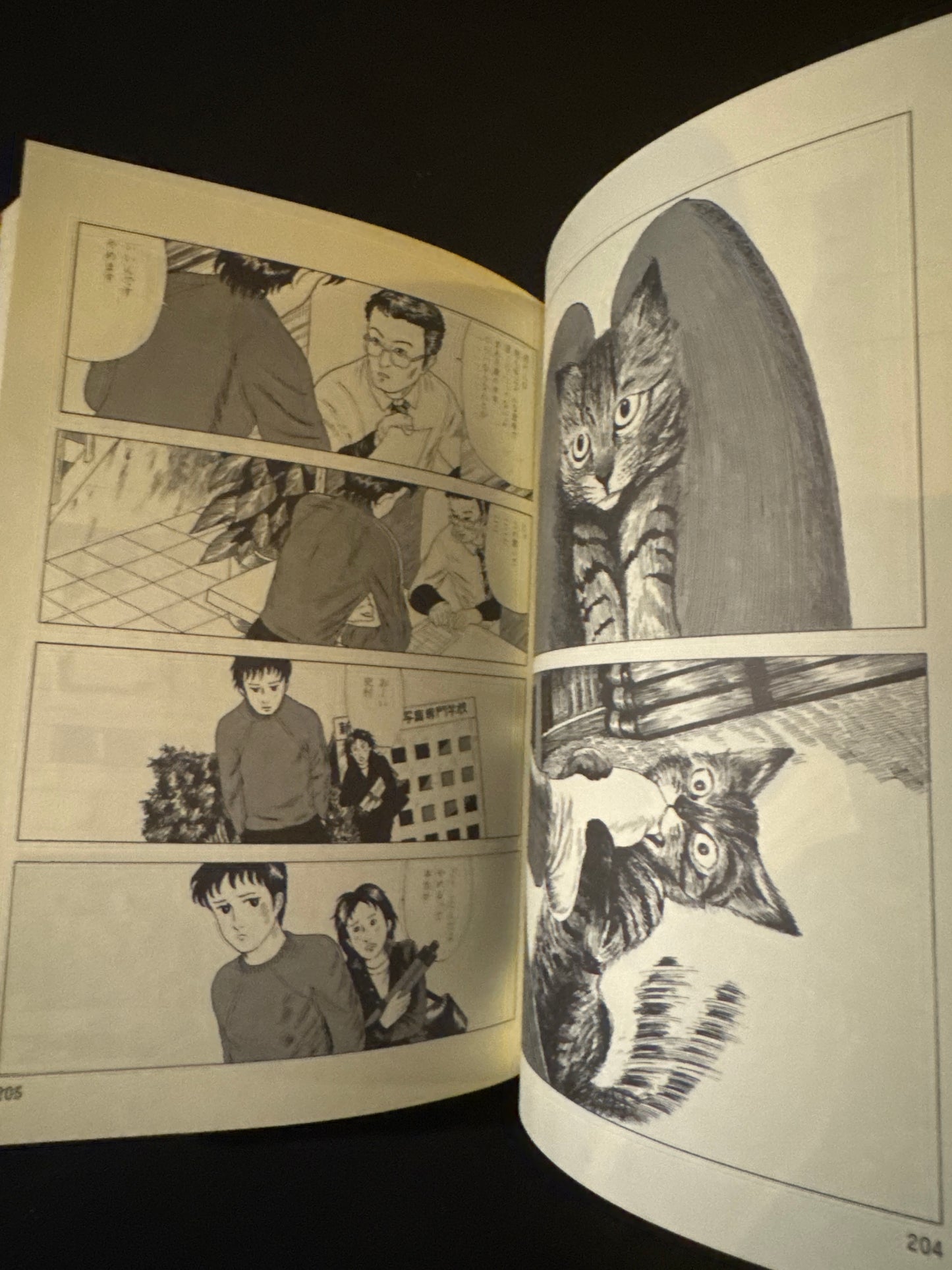 Thoughts on the Chocolate Sphinx