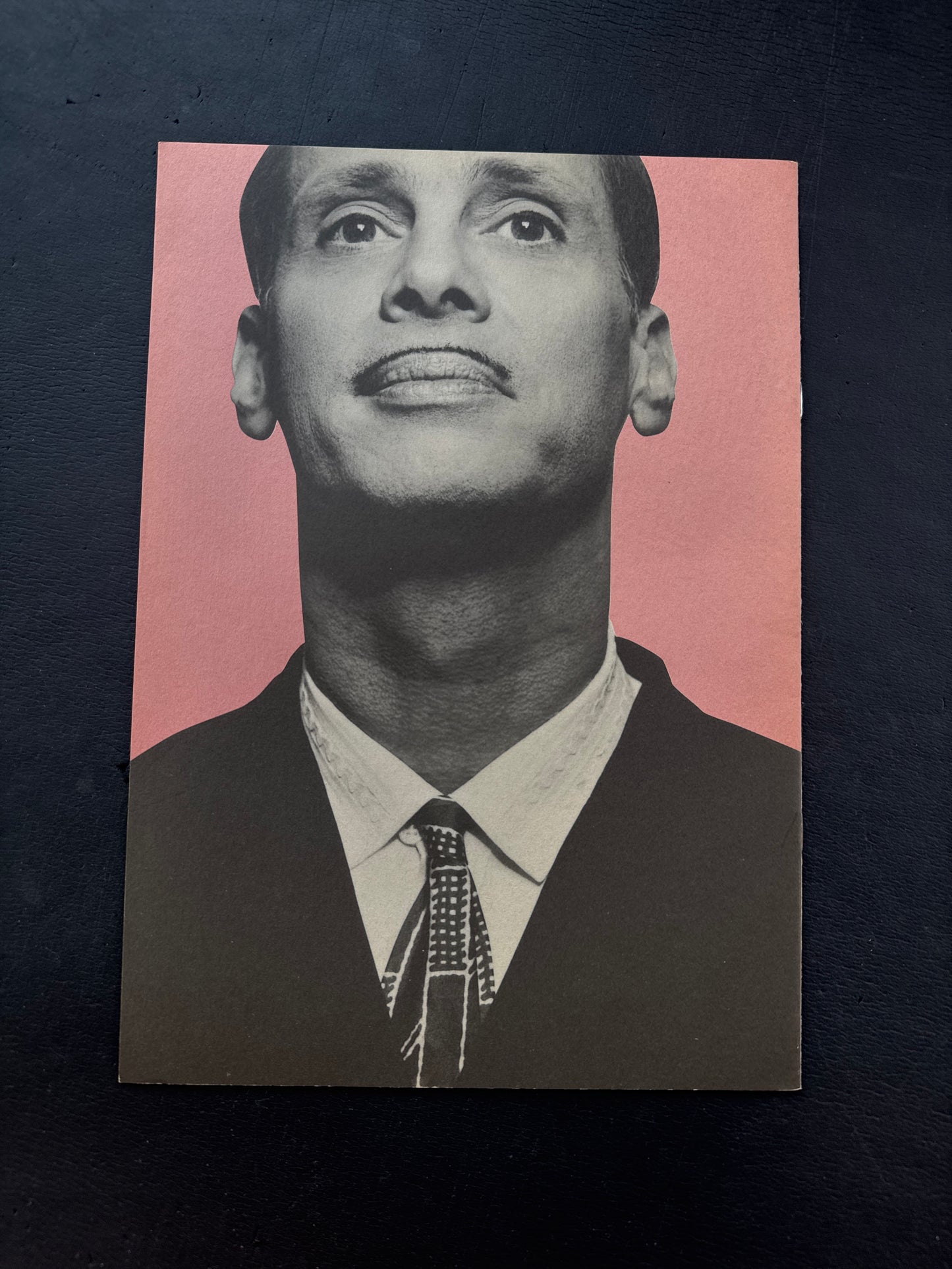 Pink Flamingo pamphlet