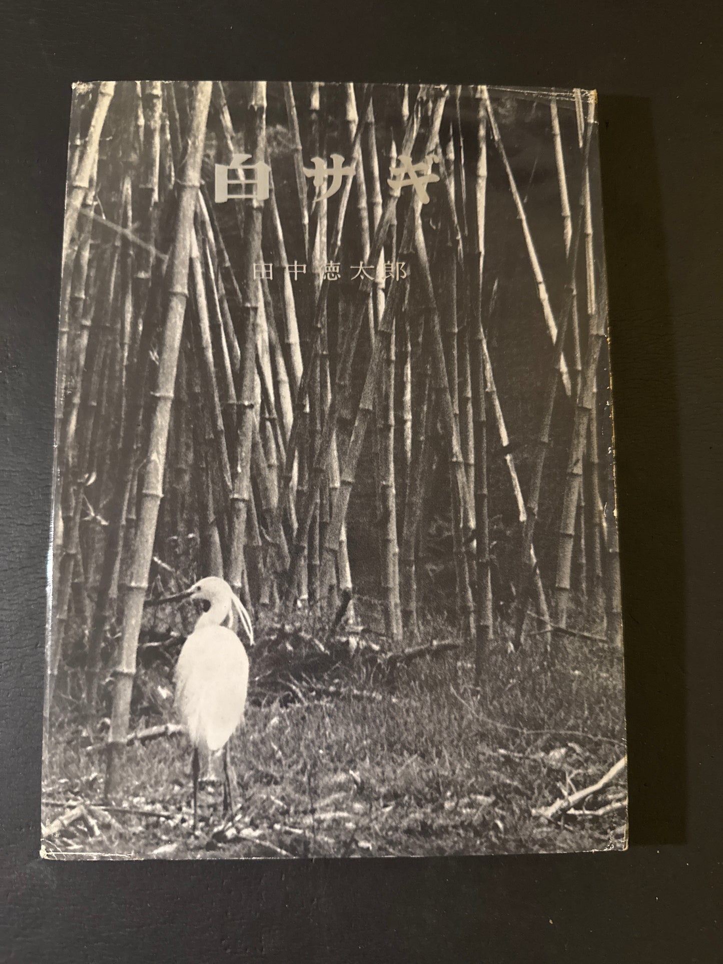 SHIRA SAGI(white heron)