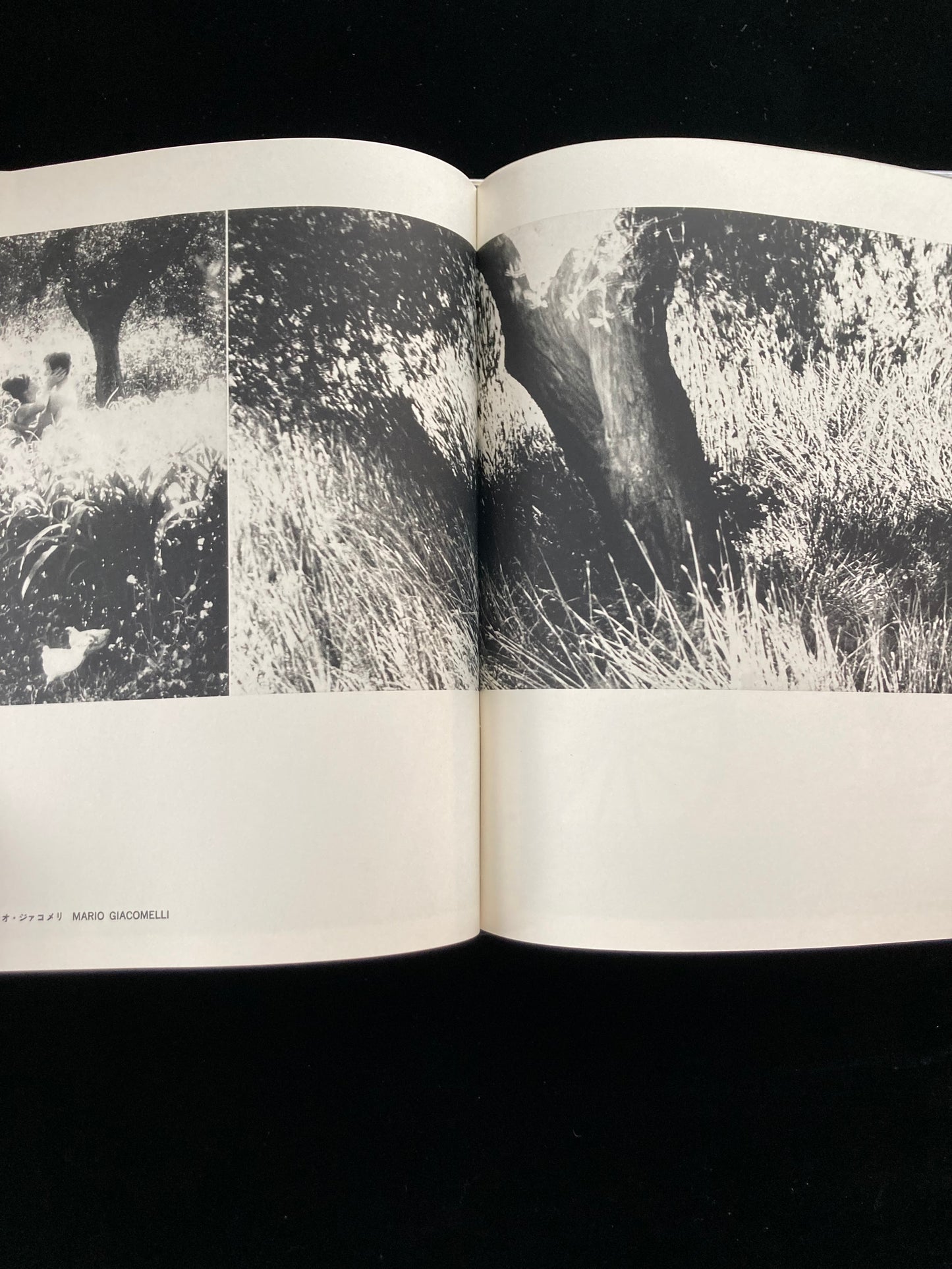 photography of the world '66