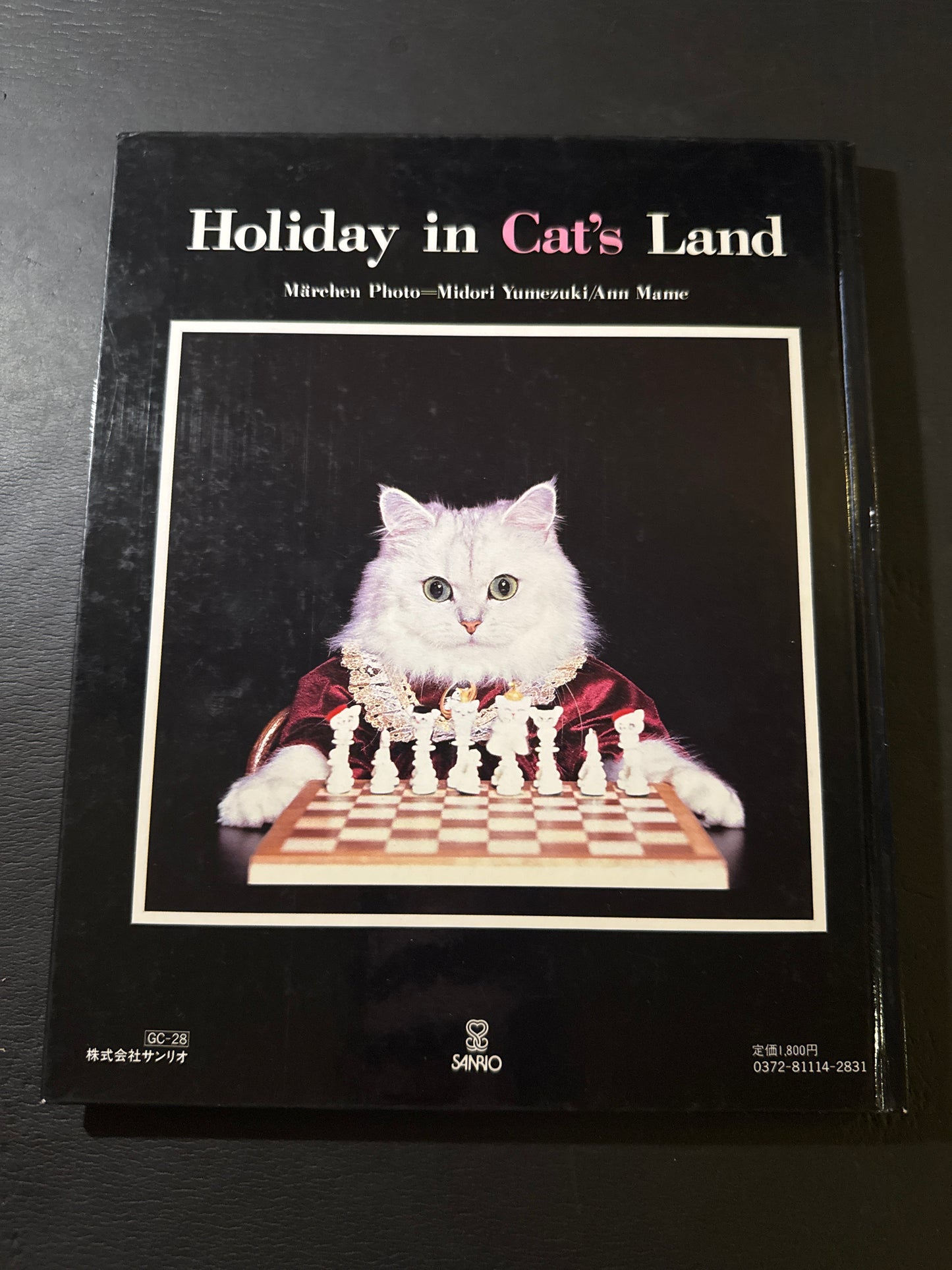 Holiday in Cat's Land