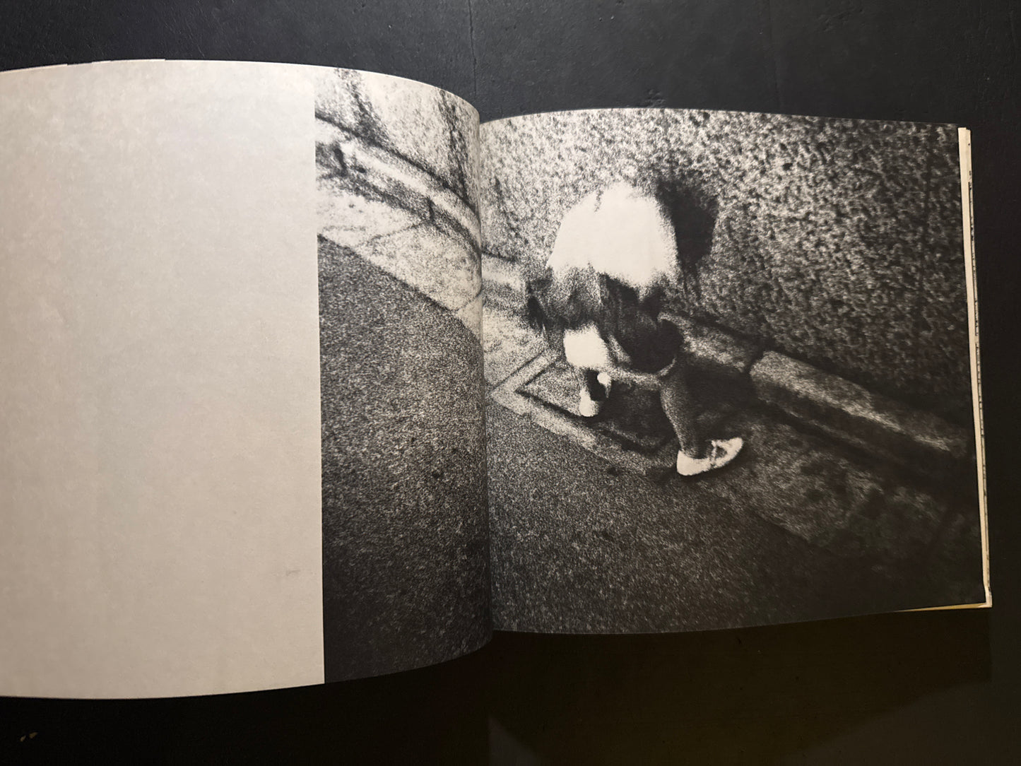 Nippon Theatre photobook