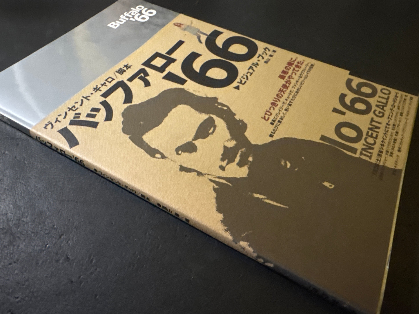 Buffalo '66 visual book