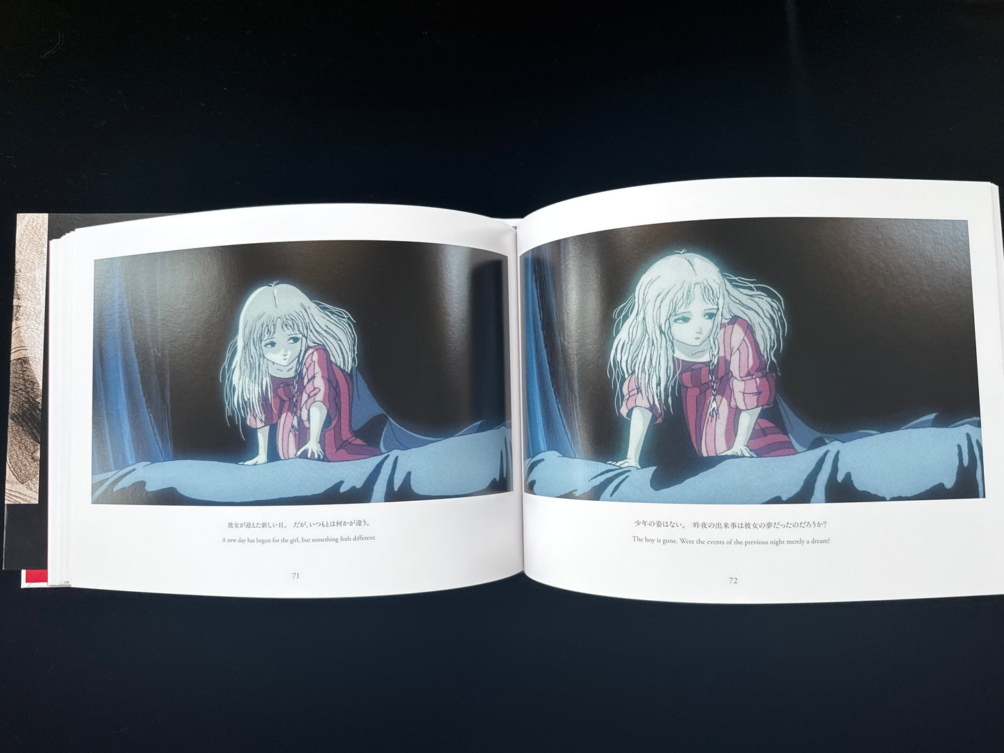 Angel's Egg THE VISUAL COLLECTION