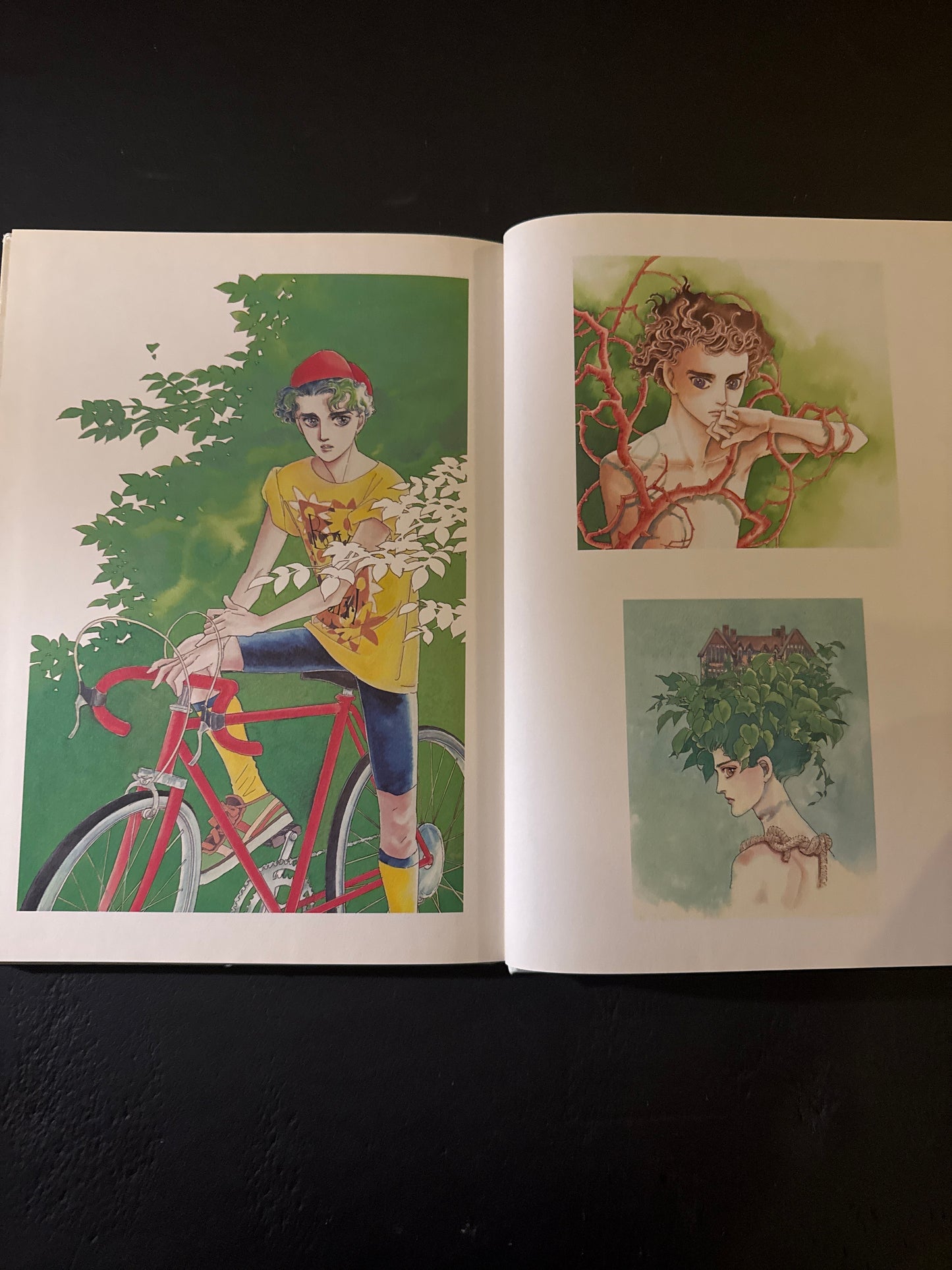 Moto Hagio Artbook : A Cruel God Reigns