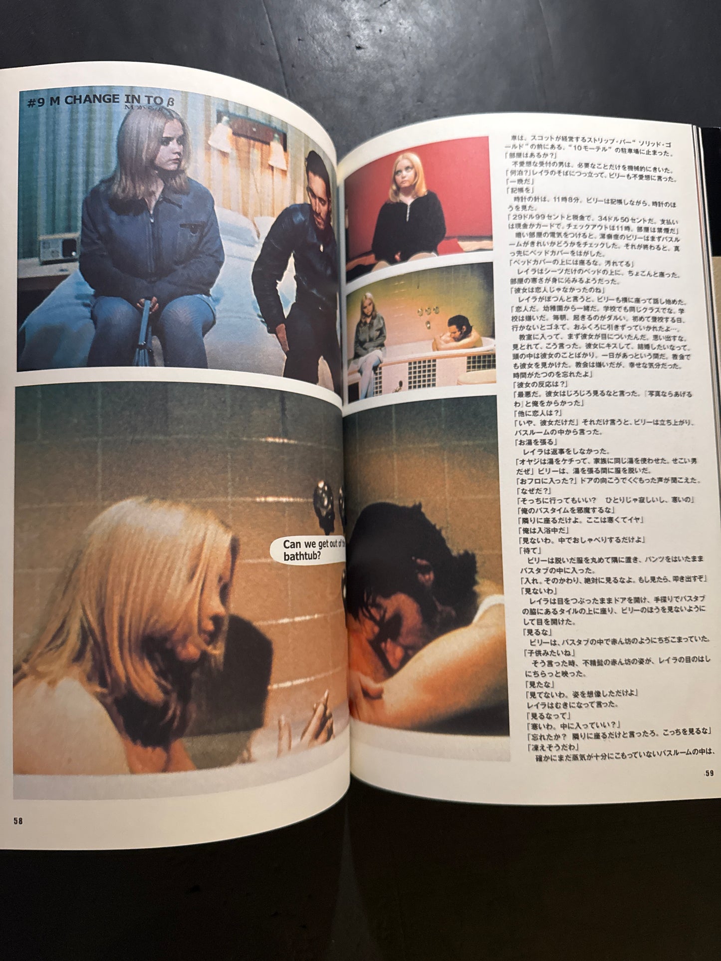 Buffalo '66 visual book