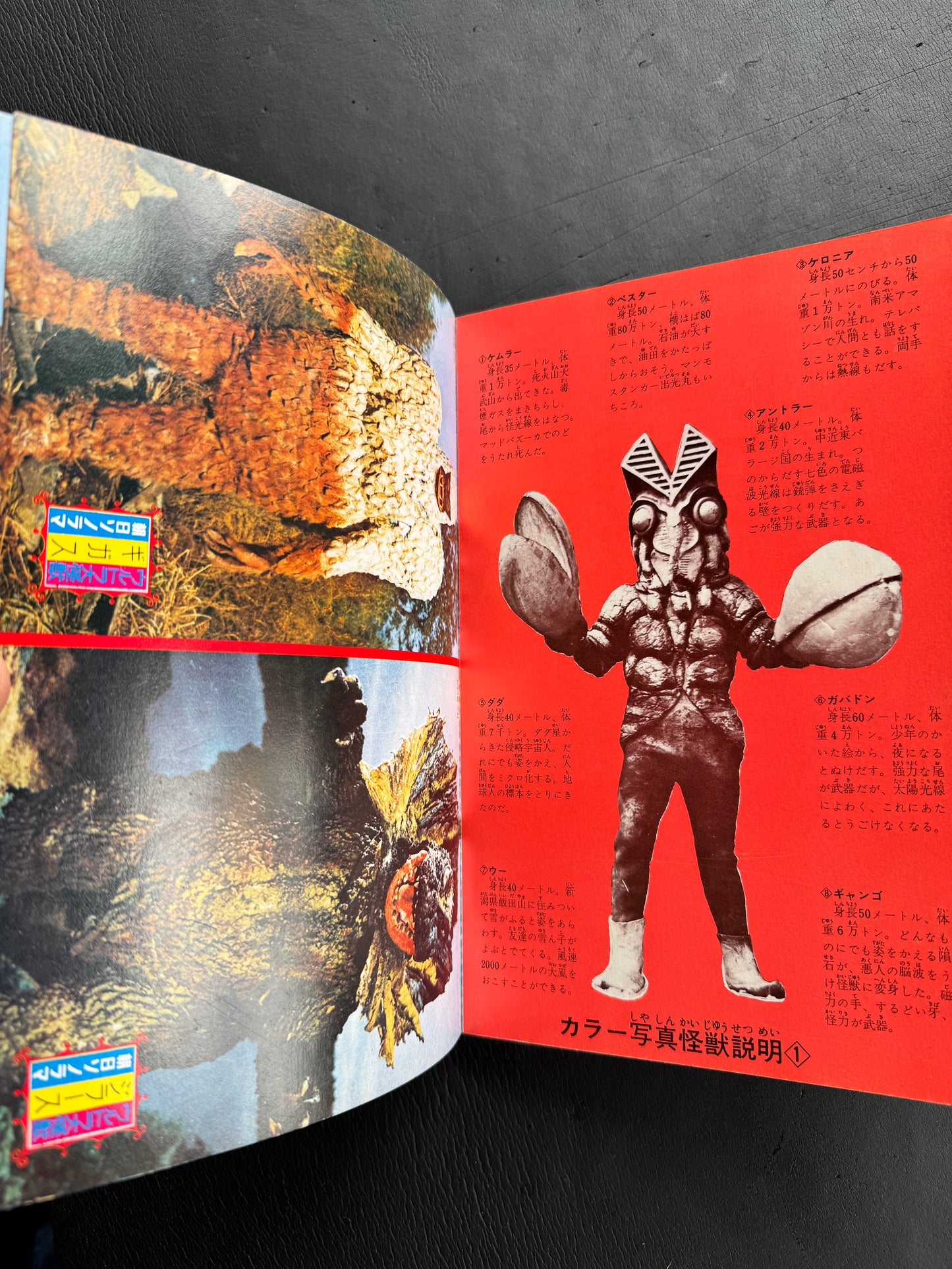 Kaiju Photo Encyclopedia