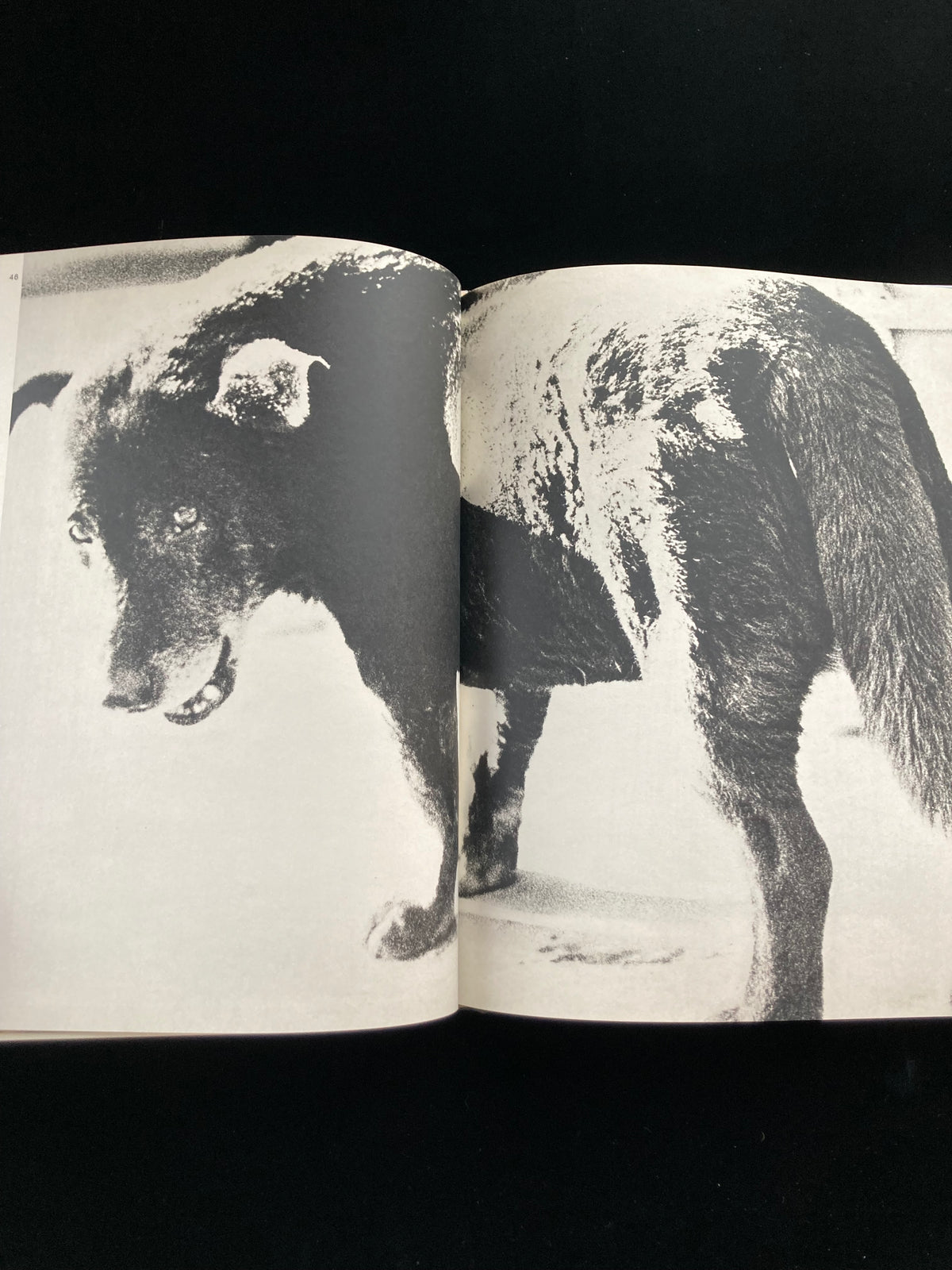photography of the world '71 - '72
