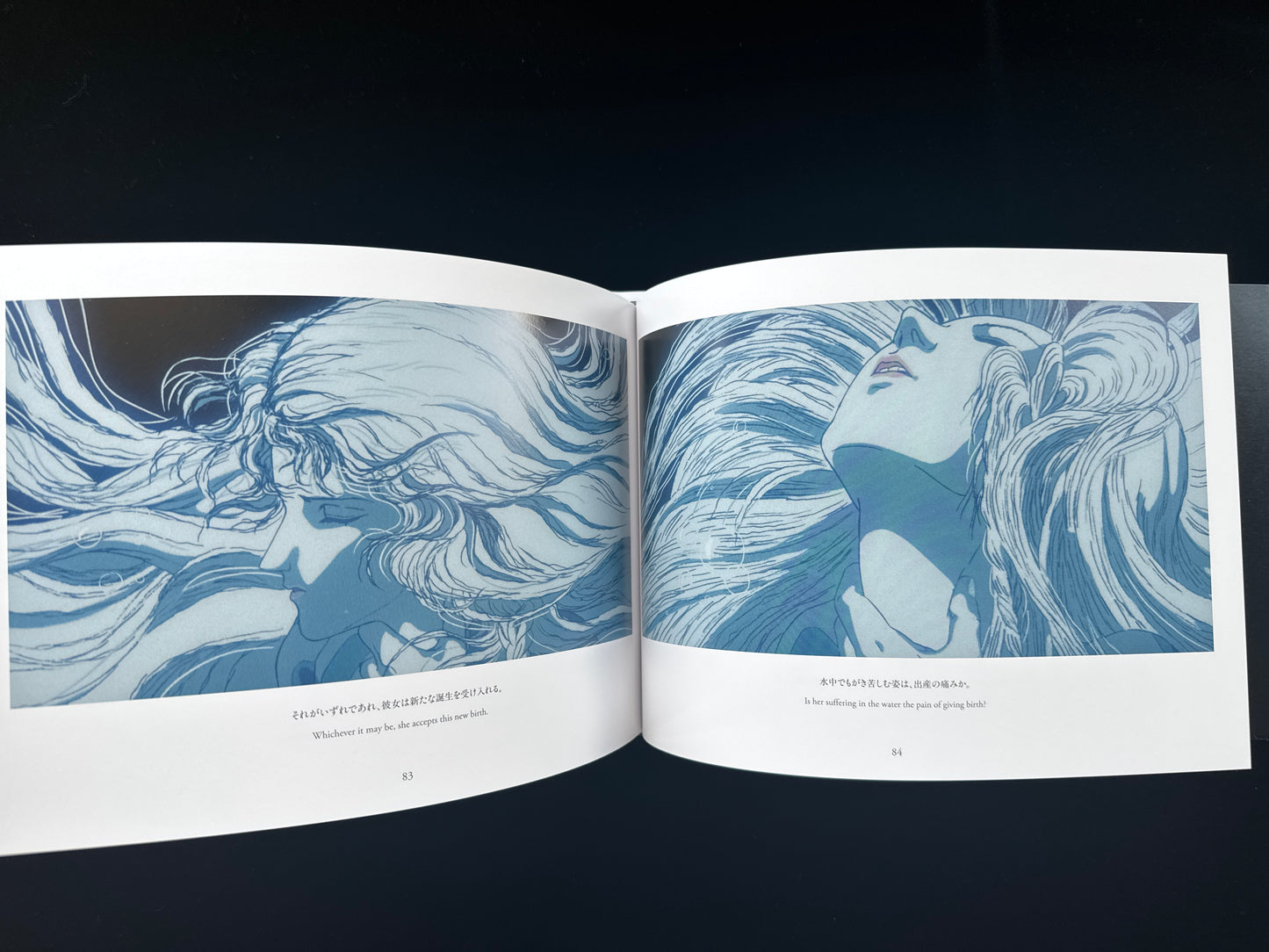 Angel's Egg THE VISUAL COLLECTION