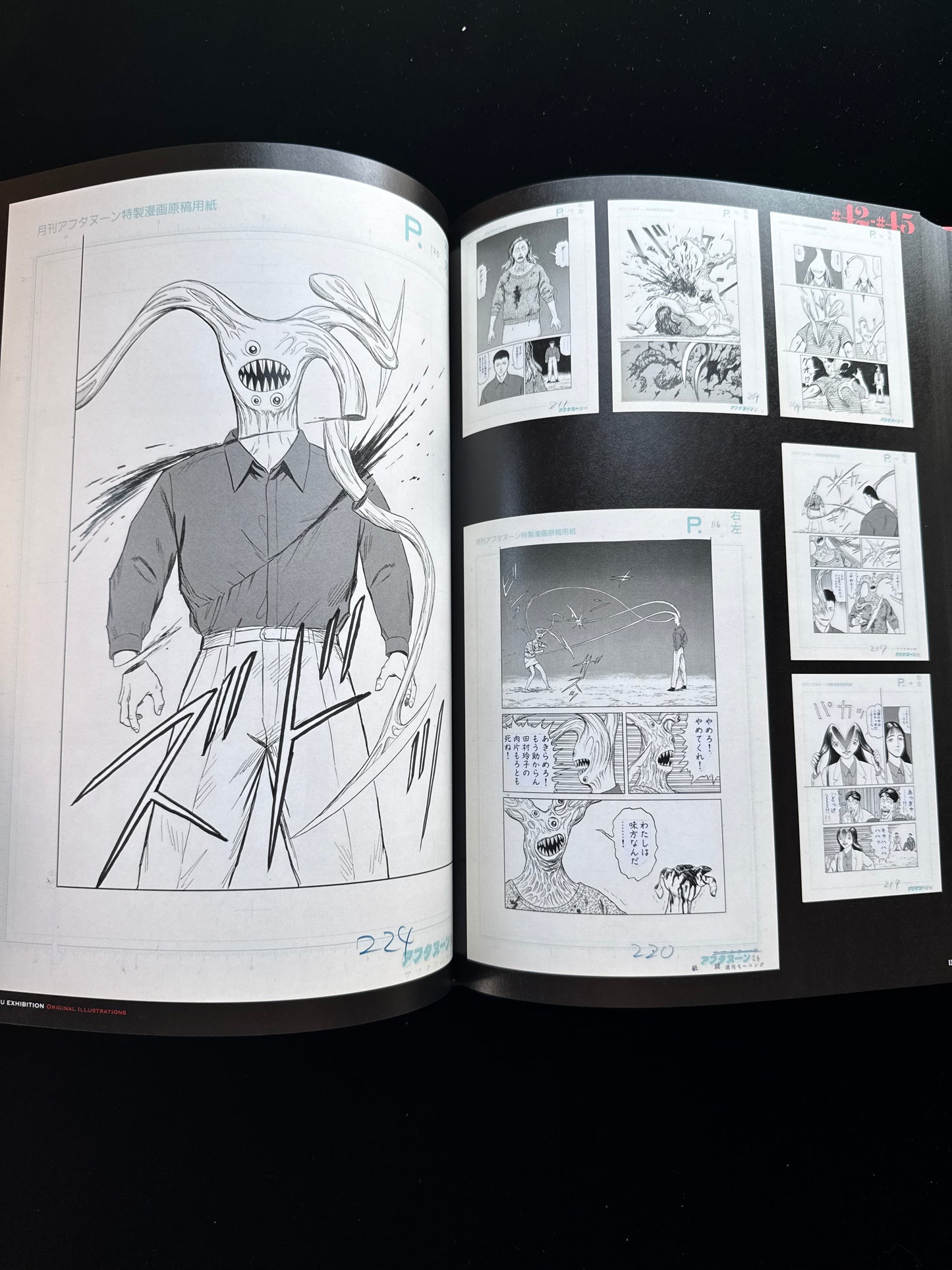 KISEIJU EXHIBITION ORIGINAL ILLUSTRATION