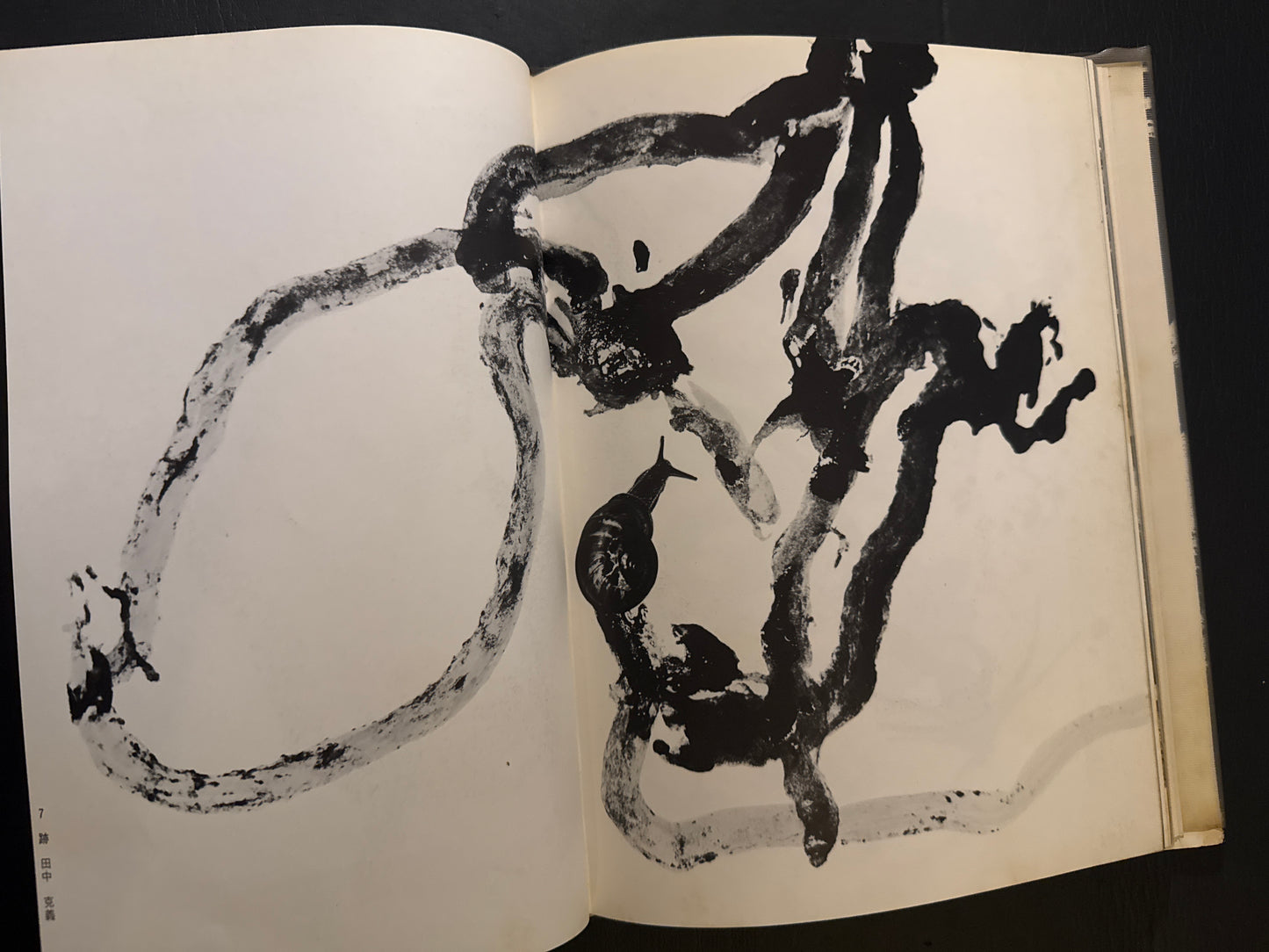 Selected Works of NANIWA SHASHIN CLUB 60th anniversary 1966