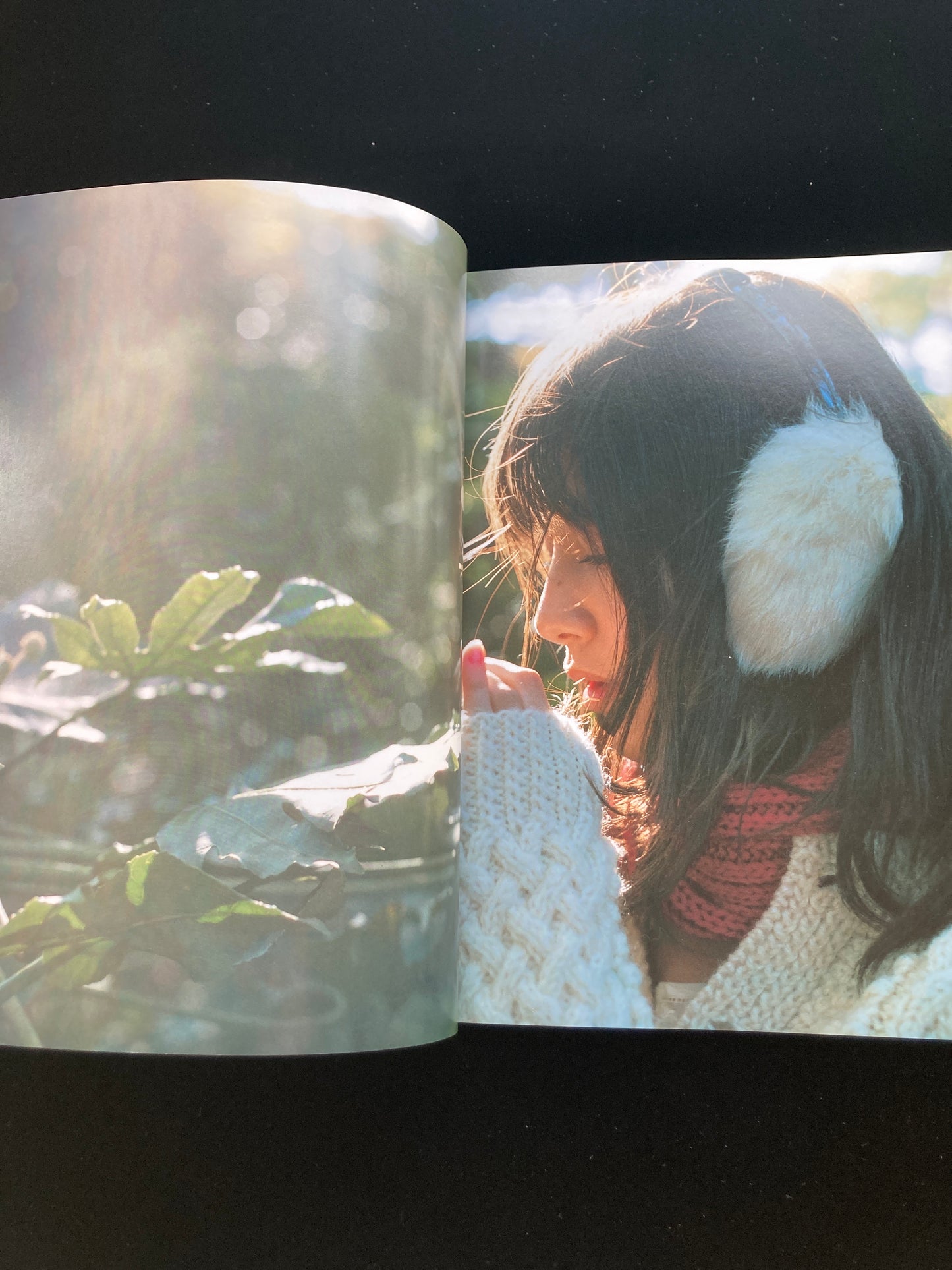 The sun and honey MARIKO TAKAHASHI