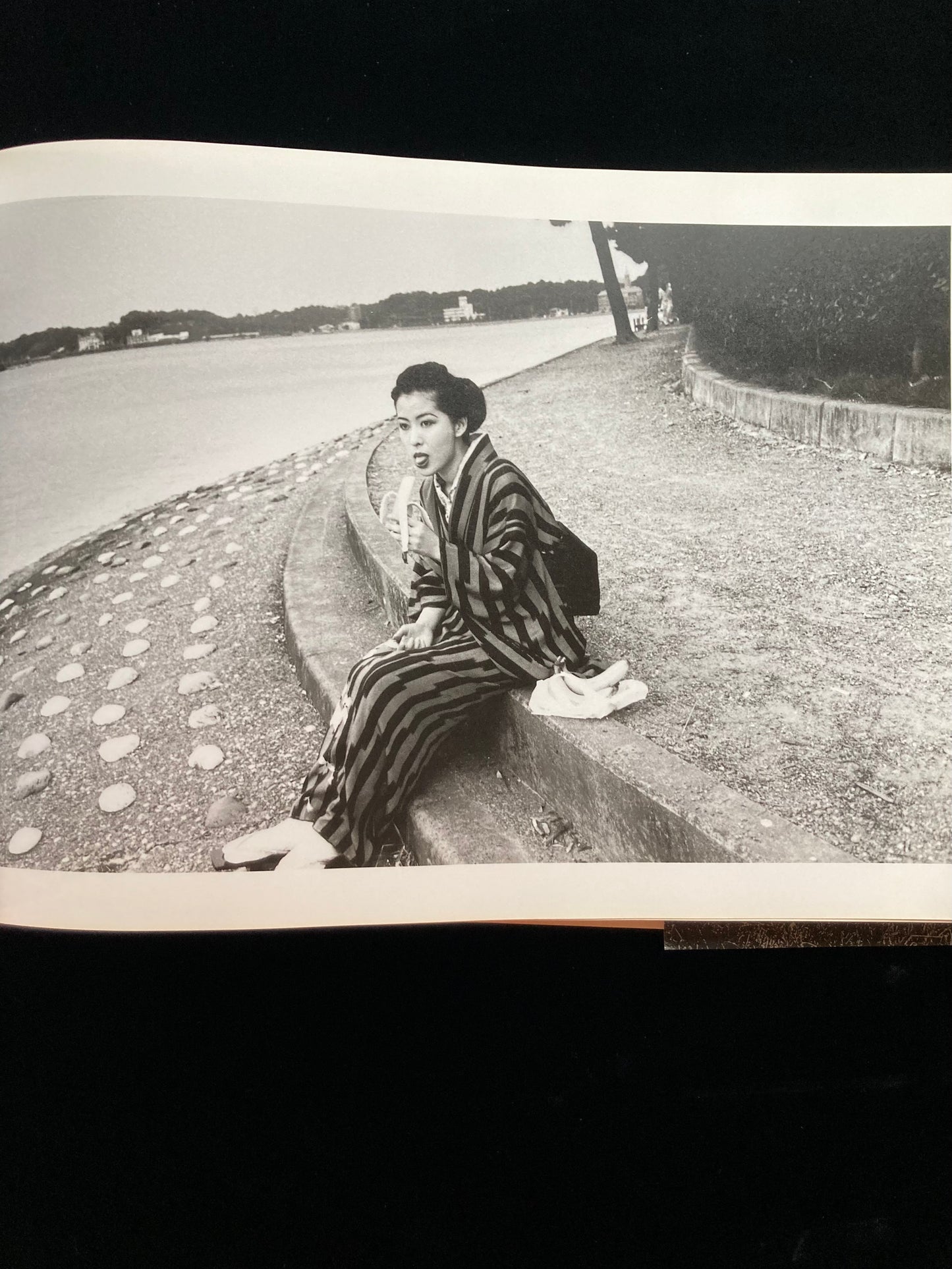 "Sawa" Nobuyoshi Aqaki CINEPHOTOGRAPH