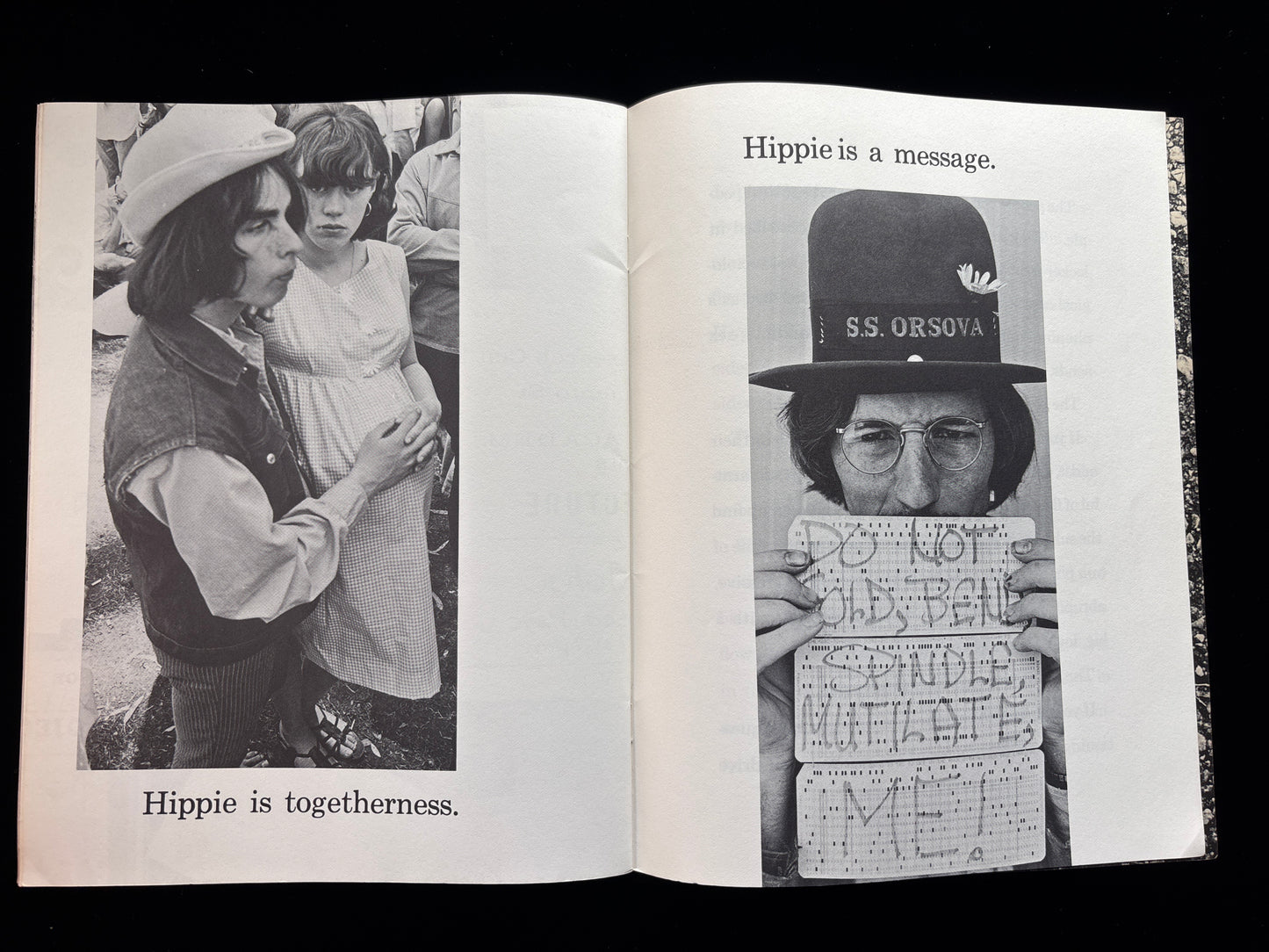 HIPPIE IS NECESSARY
