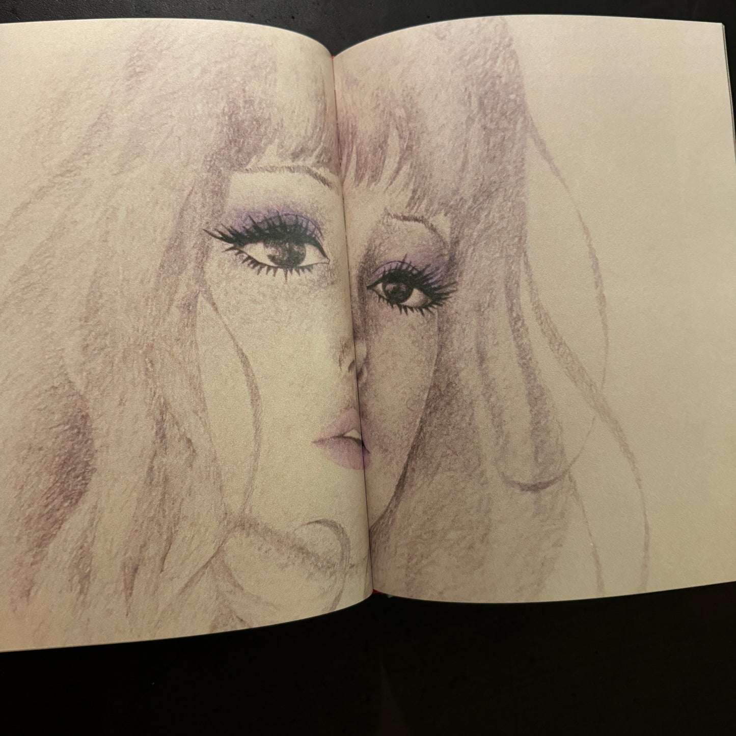 Belladonna of Sadness: A Companion Book to the 1973 Cult Japanese Anime Film