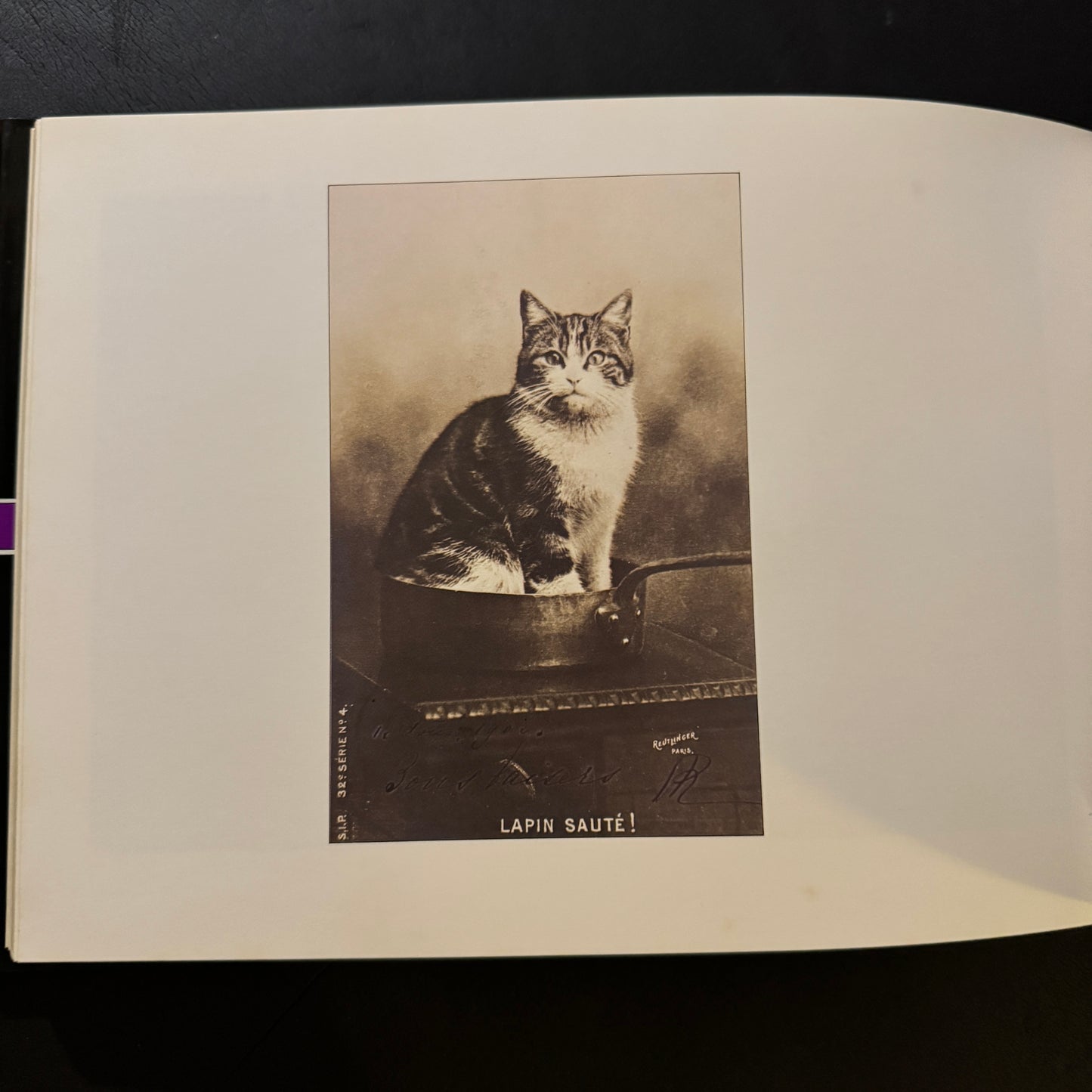 The Cat's Mansion: The World of Antique Cards