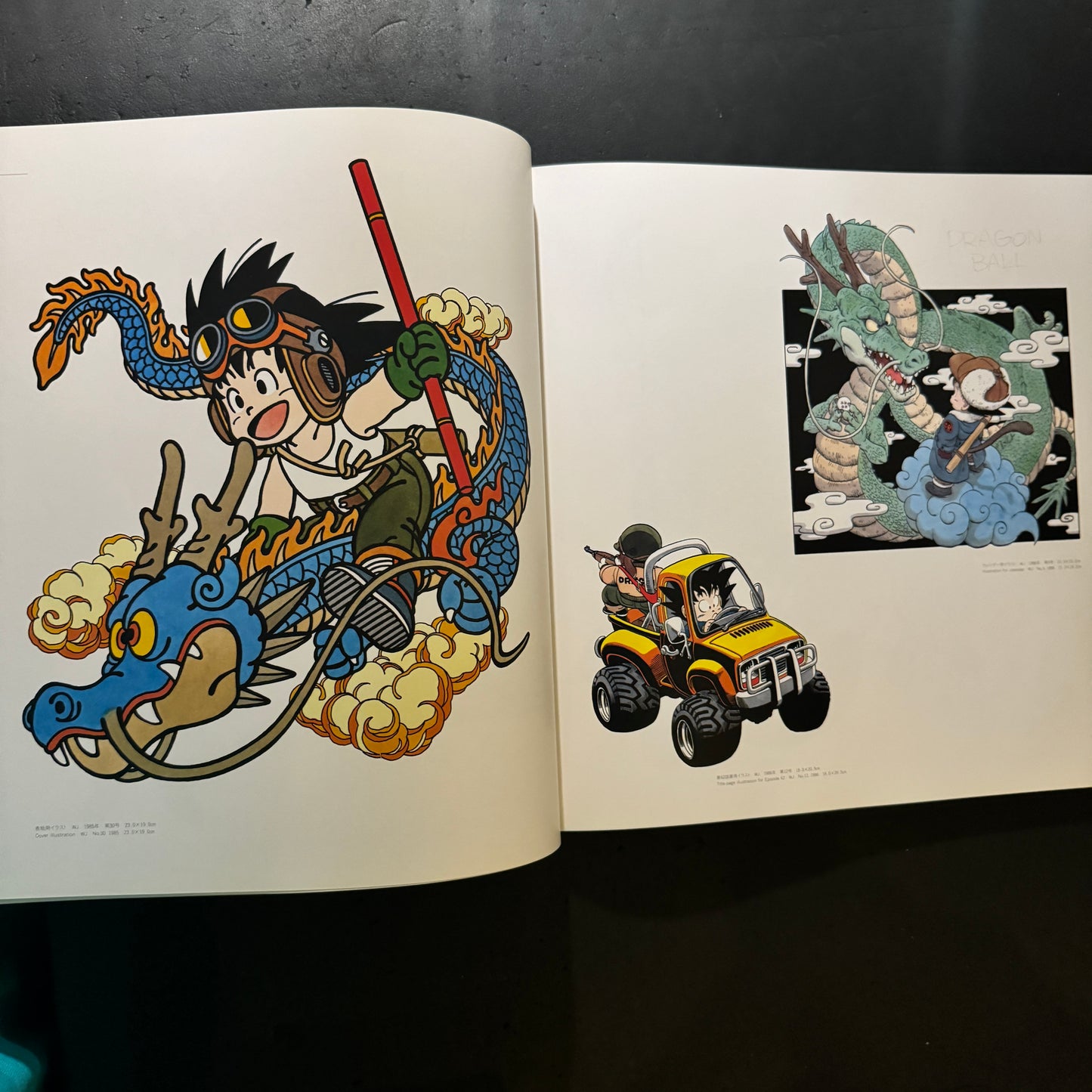 The World of Akira Toriyama Exhibition Art Catalog with original plastic bag