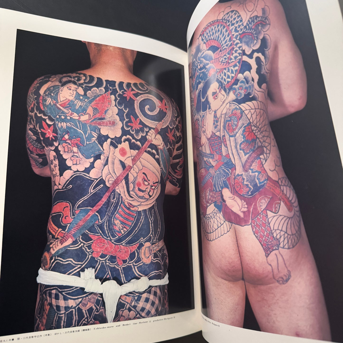 World of Japanese Tattooing color-illustrated