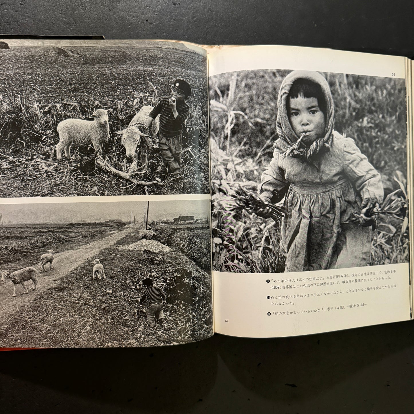 Living on the Great Earth - Okinawa village in Hokkaido