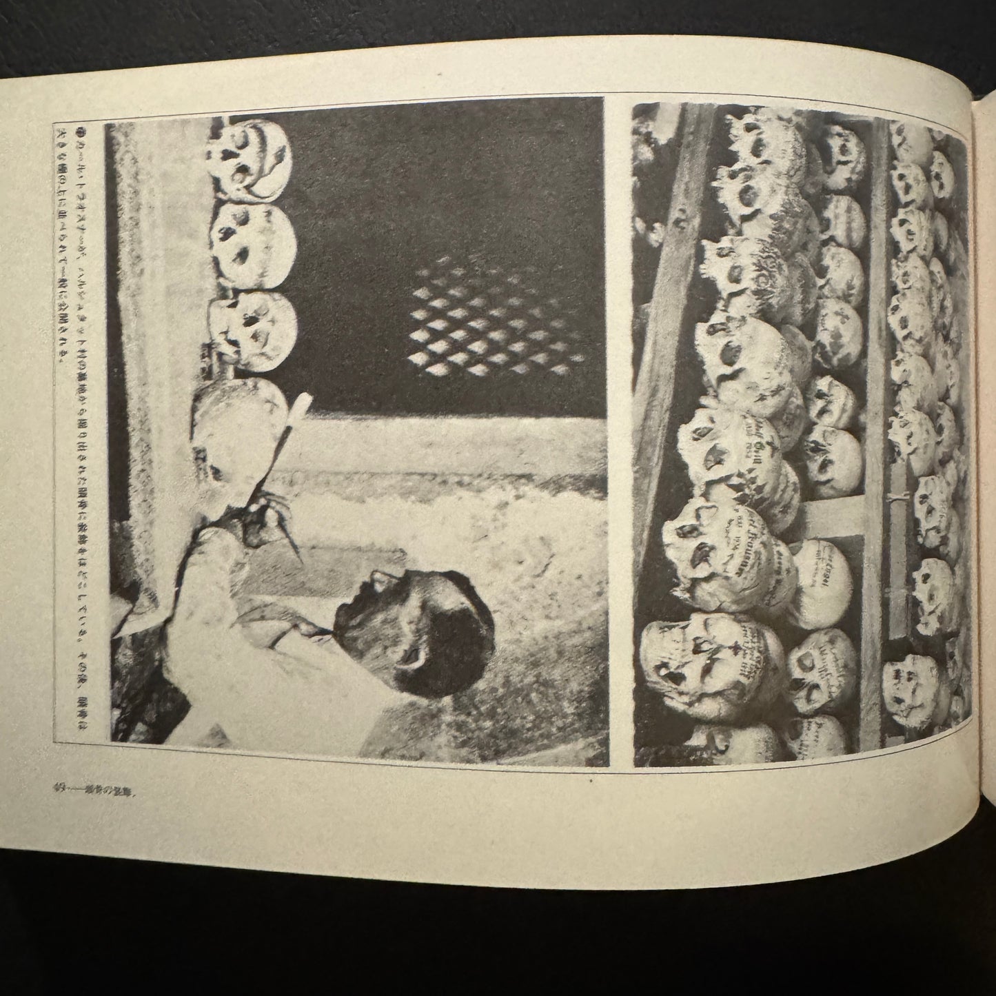 Cultural History of the Skull (Japanese edition) without a transportation carbon box