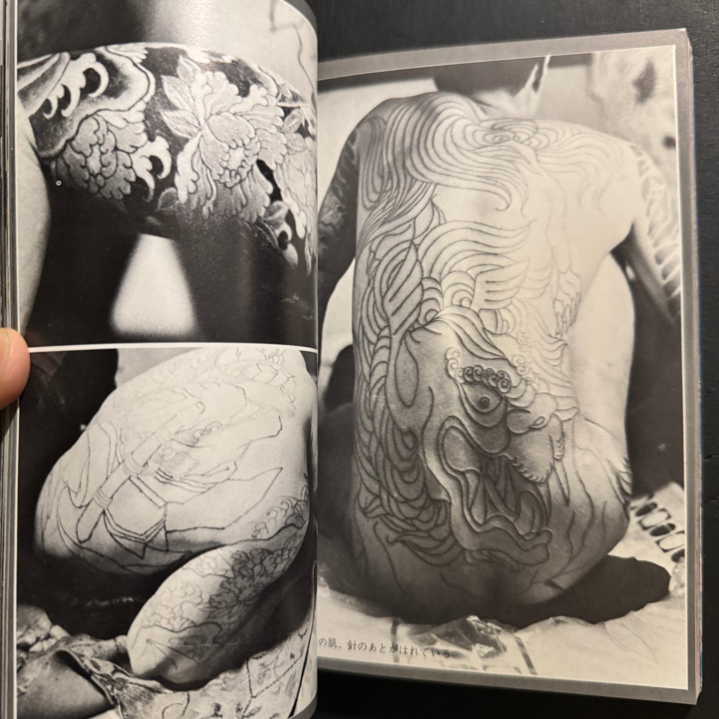 Tattooed Woman: Ninkyō Chapter