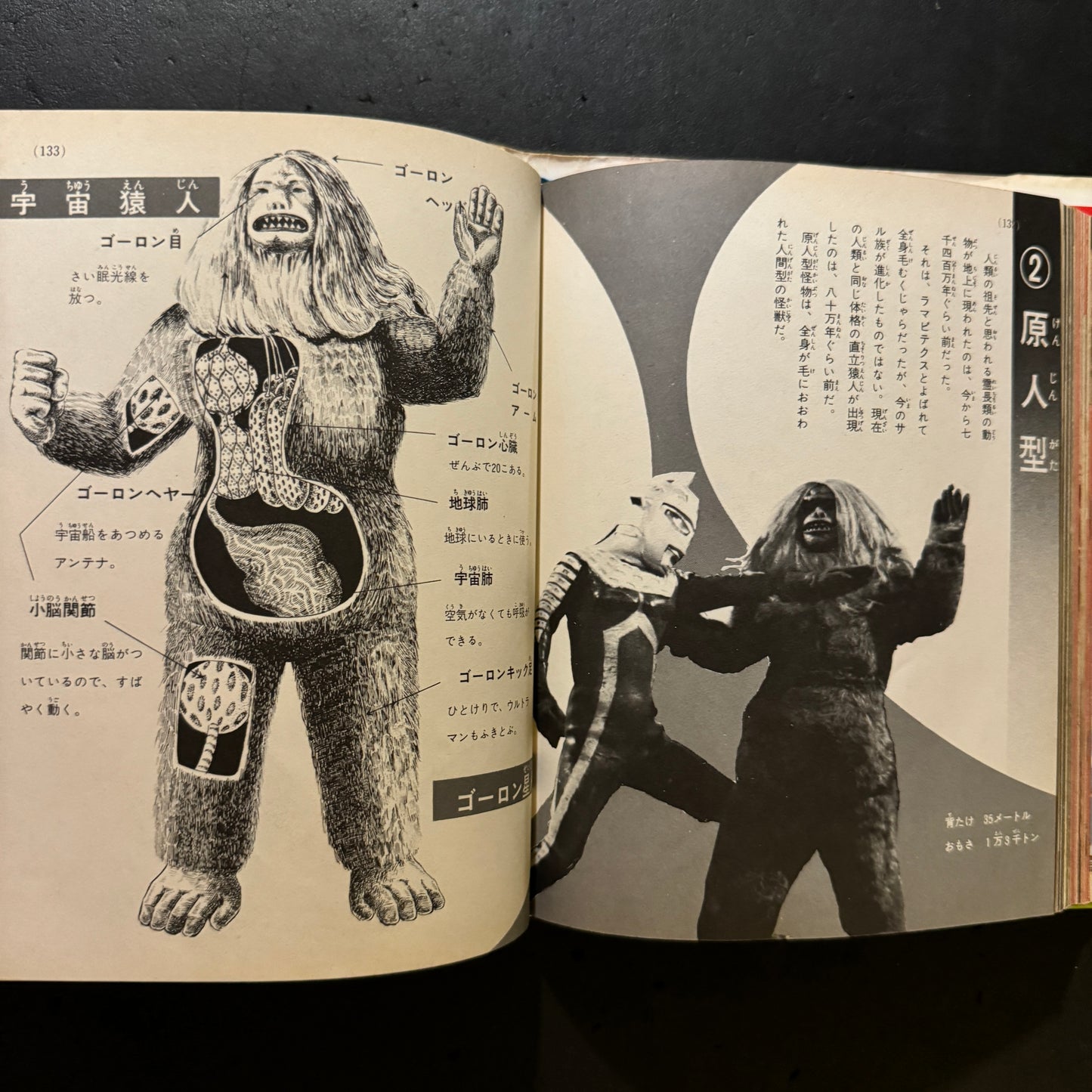 Kaiju Illustrated Introduction 18 (another cover edition)