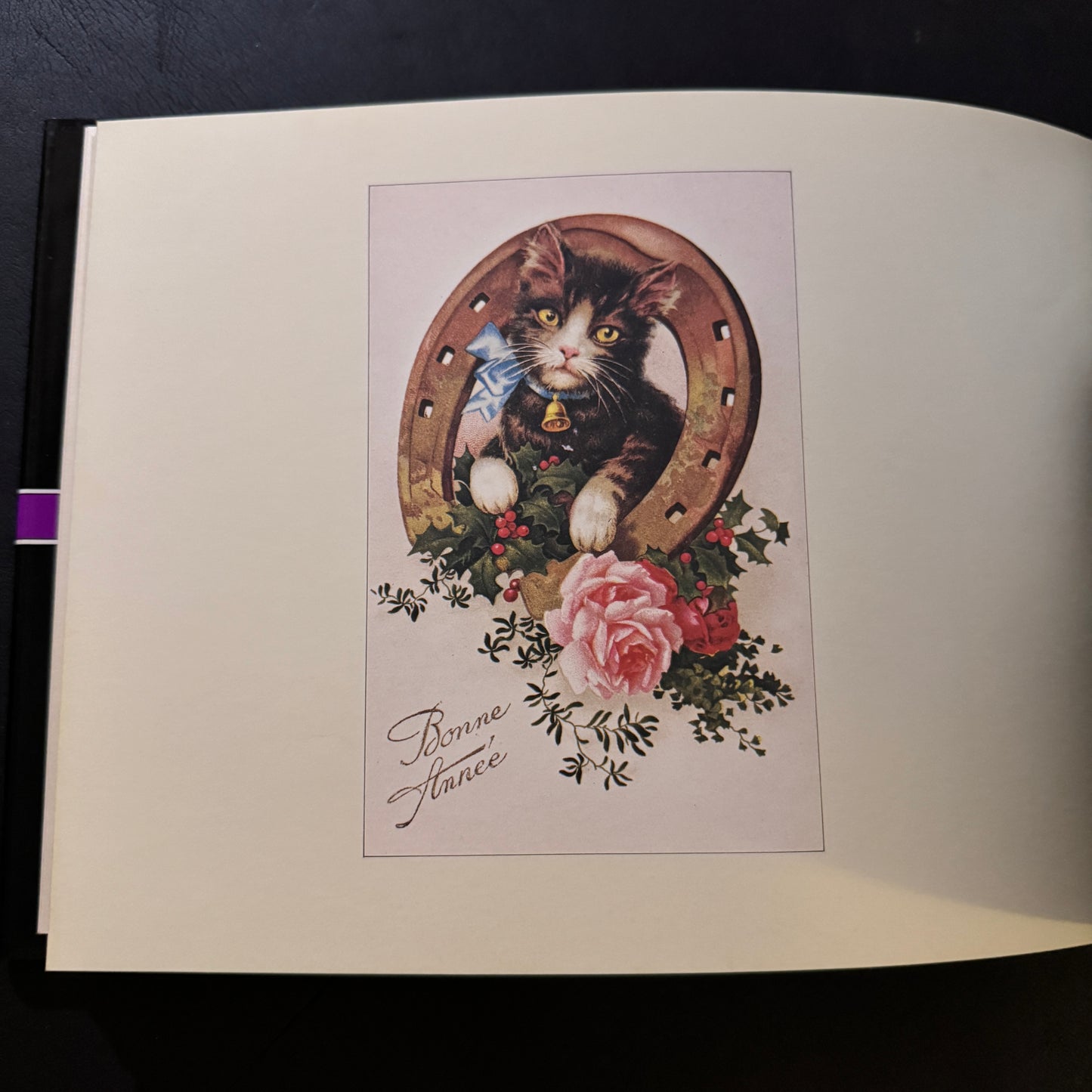 The Cat's Mansion: The World of Antique Cards