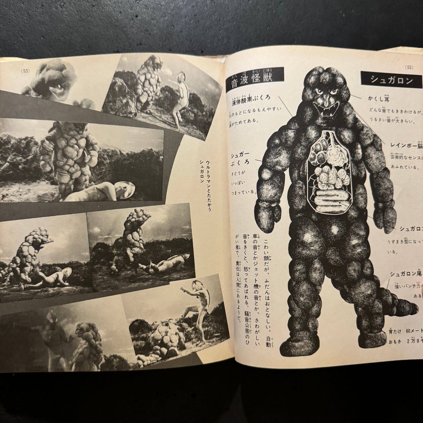 Kaiju Illustrated Introduction 18