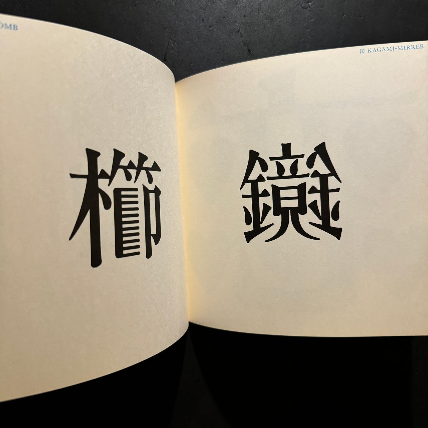 THE IMAGES OF CHINESE CHARACTERS