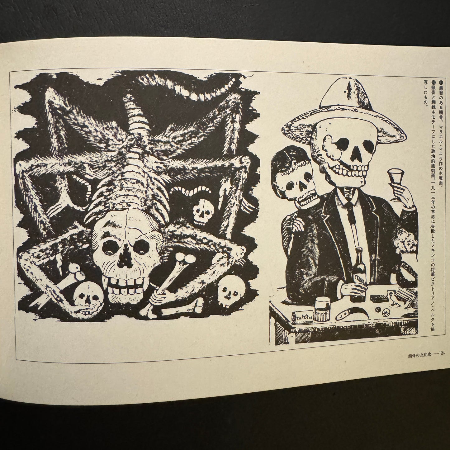 Cultural History of the Skull (Japanese edition) without a transportation carbon box