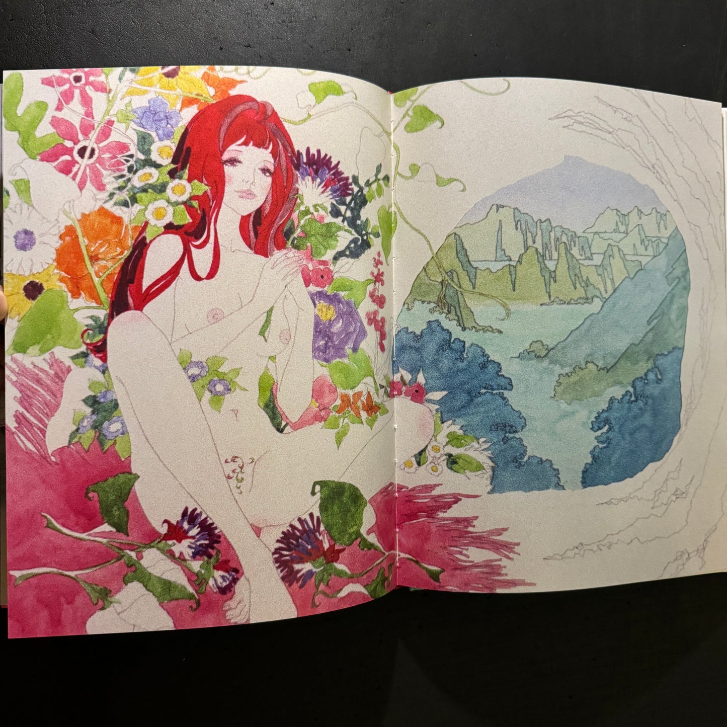 Belladonna of Sadness: A Companion Book to the 1973 Cult Japanese Anime Film