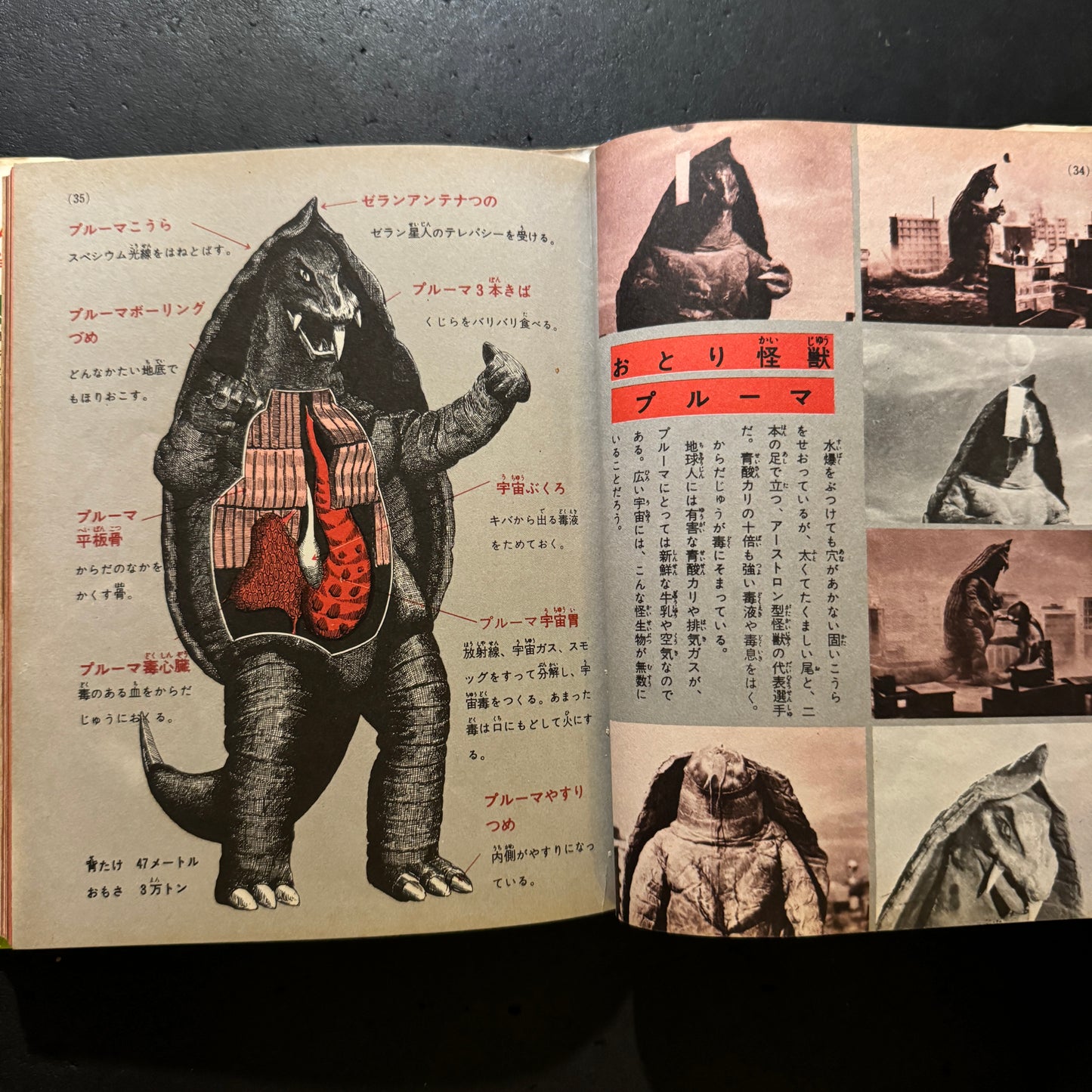 Kaiju Illustrated Introduction 18