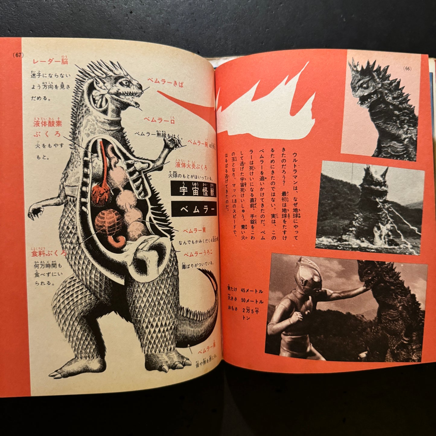 Kaiju Illustrated Introduction 18