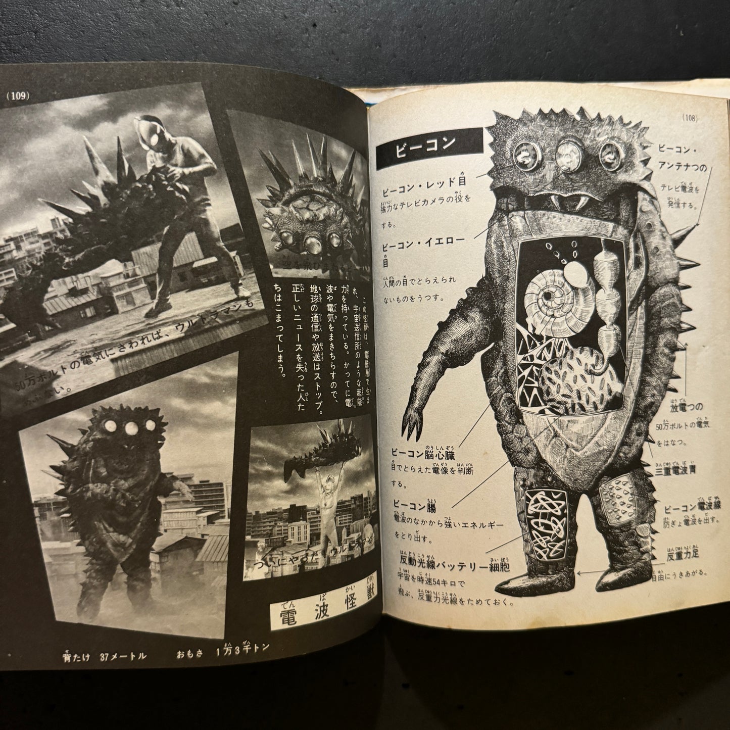 Kaiju Illustrated Introduction 18