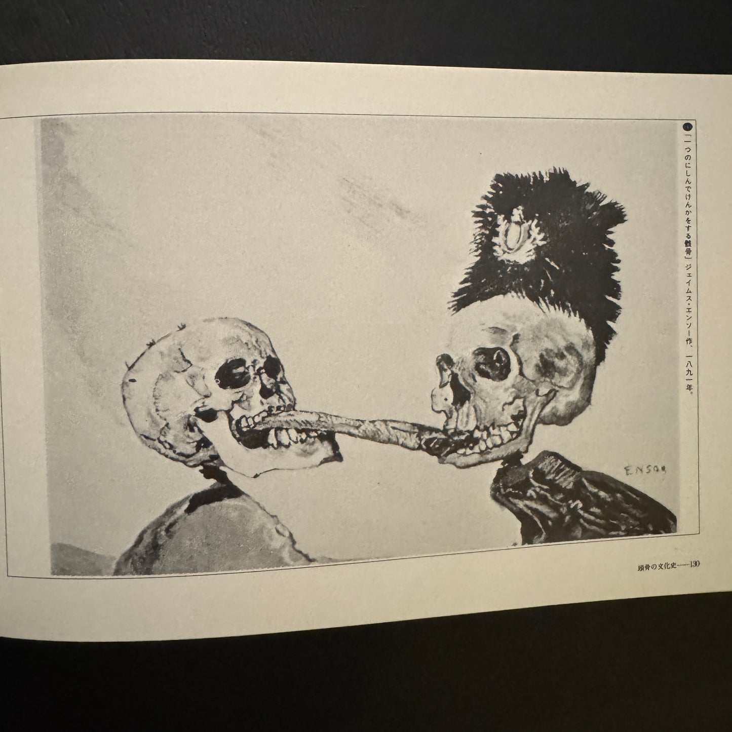 Cultural History of the Skull (Japanese edition) without a transportation carbon box